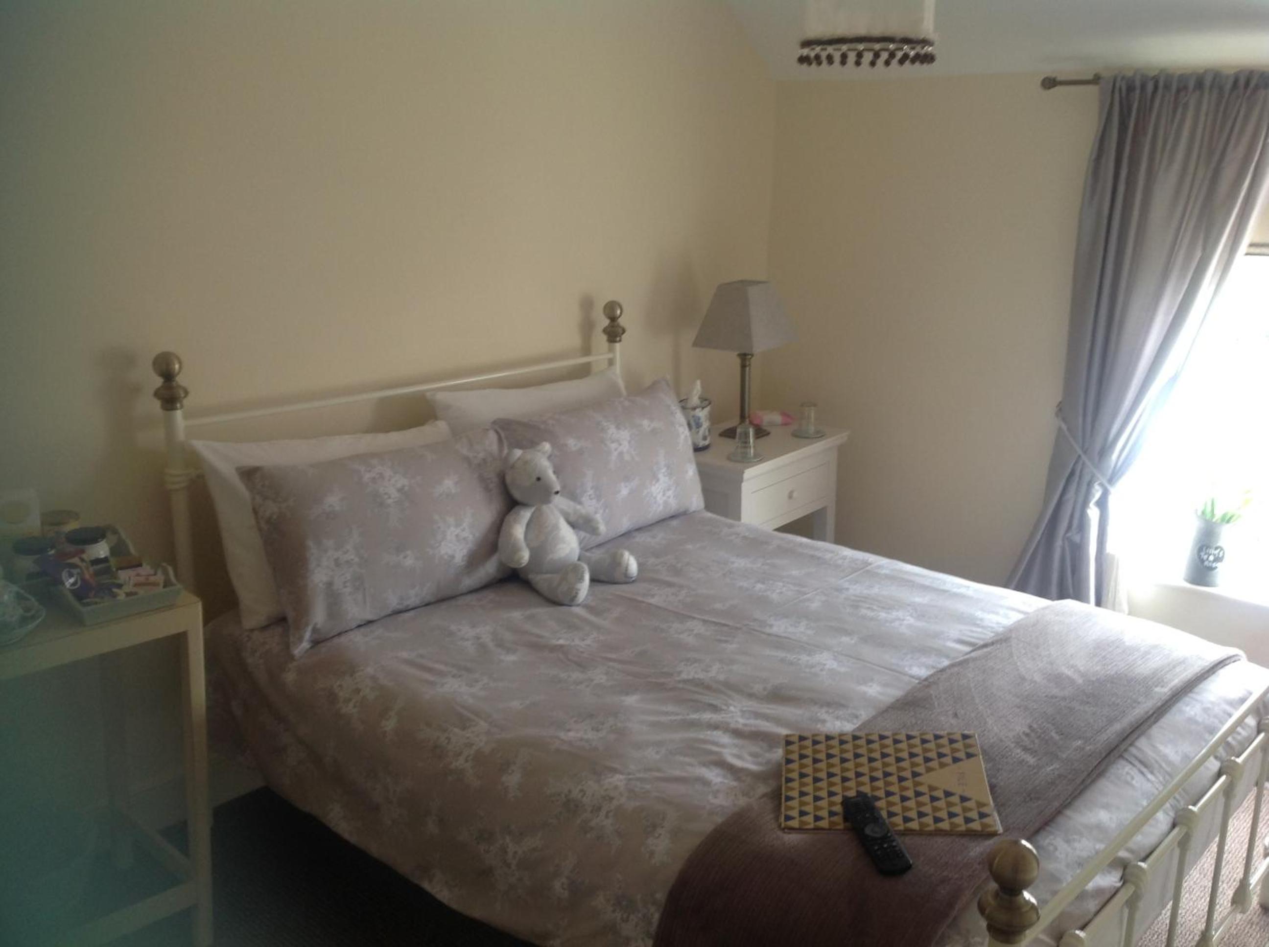 Lilly's Pad