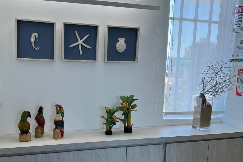 Your Oasis in Santa Marta