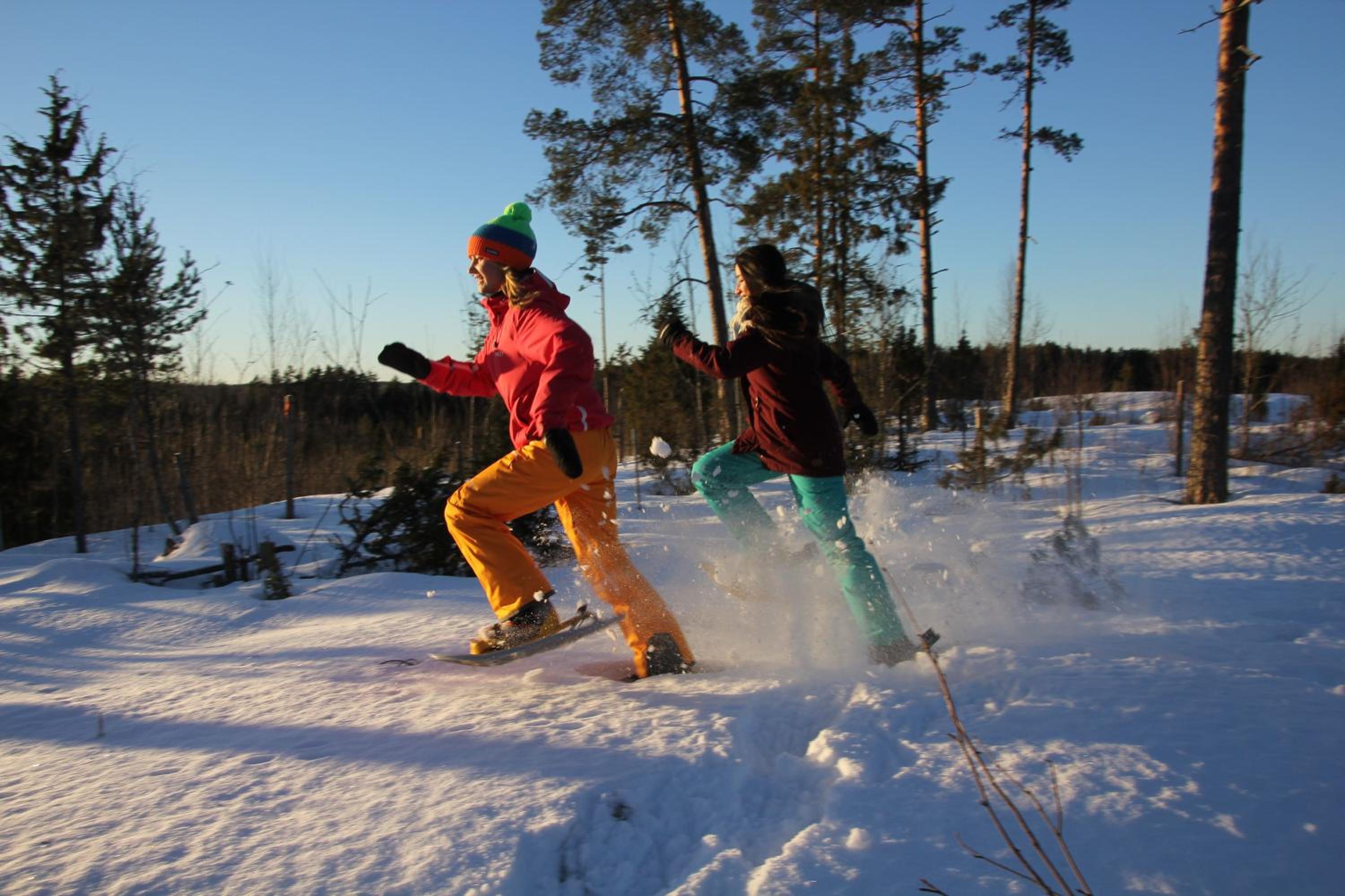 Photo 87