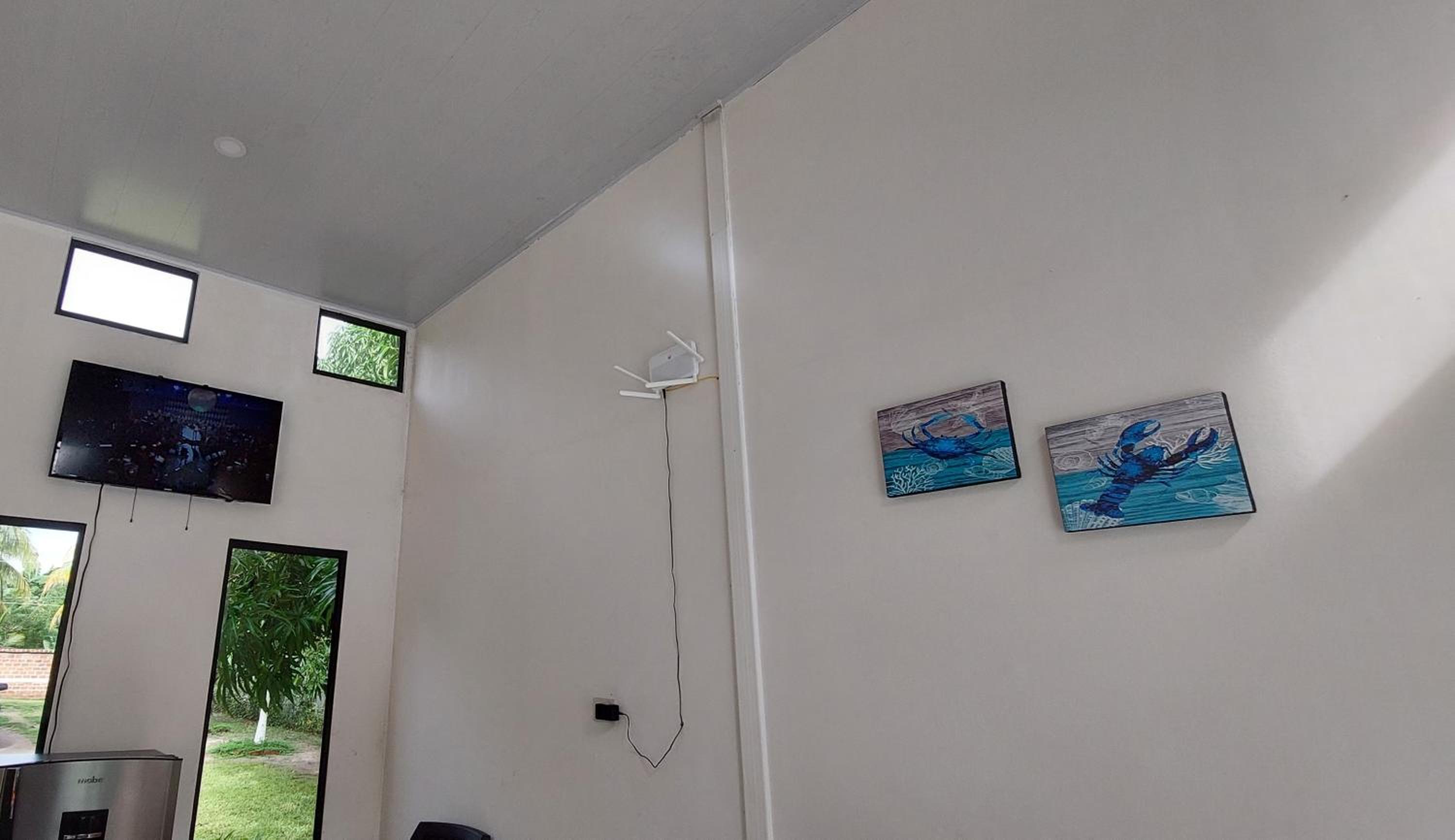 Photo 12