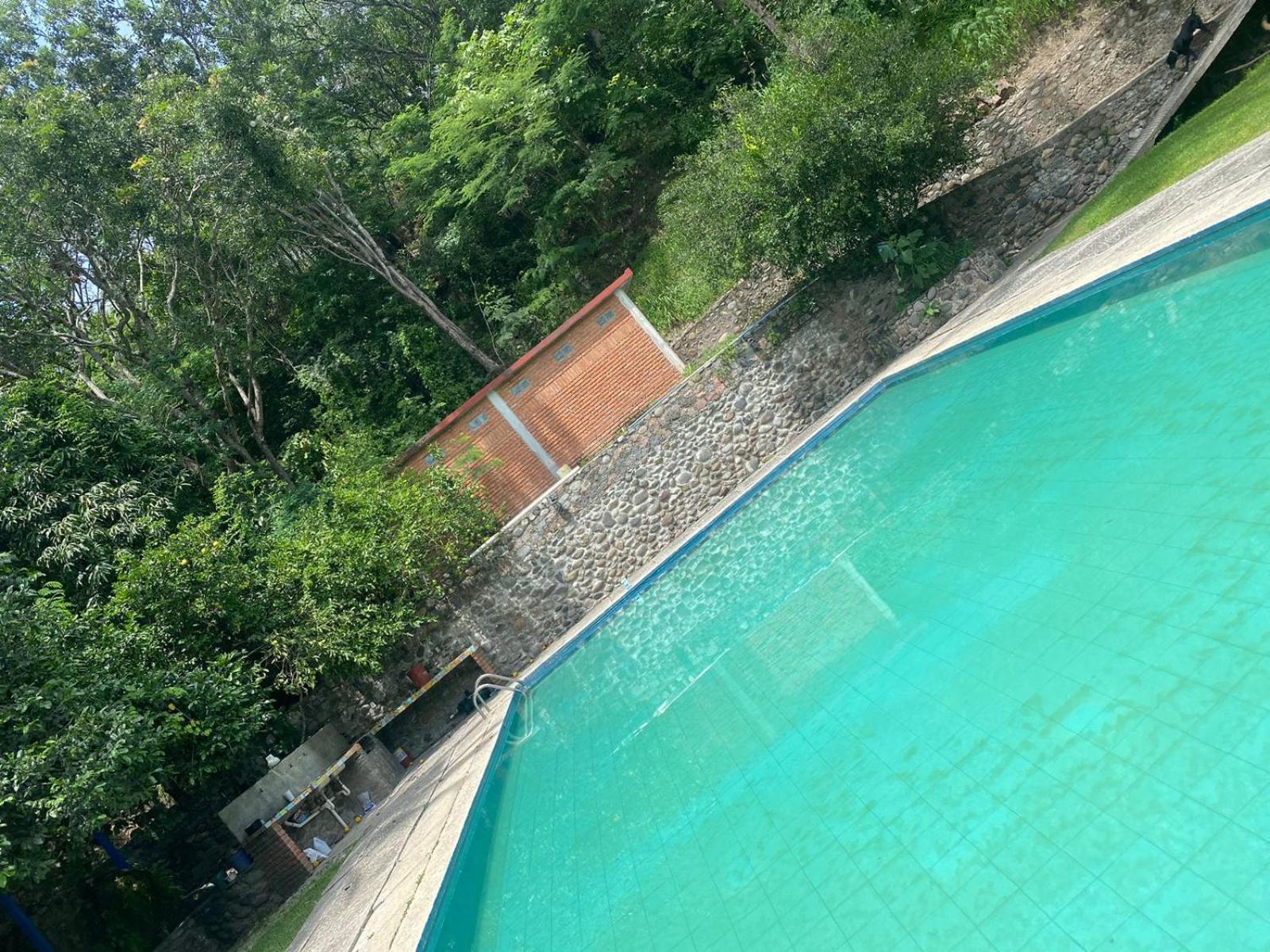 AVIVAMIENTO