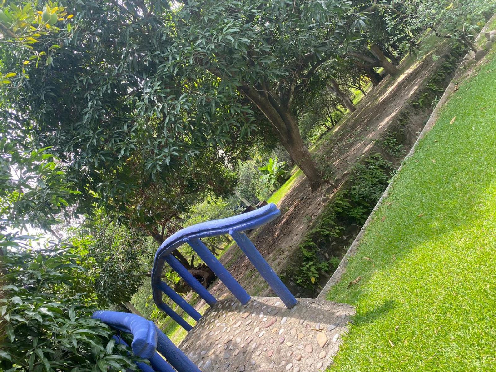 AVIVAMIENTO