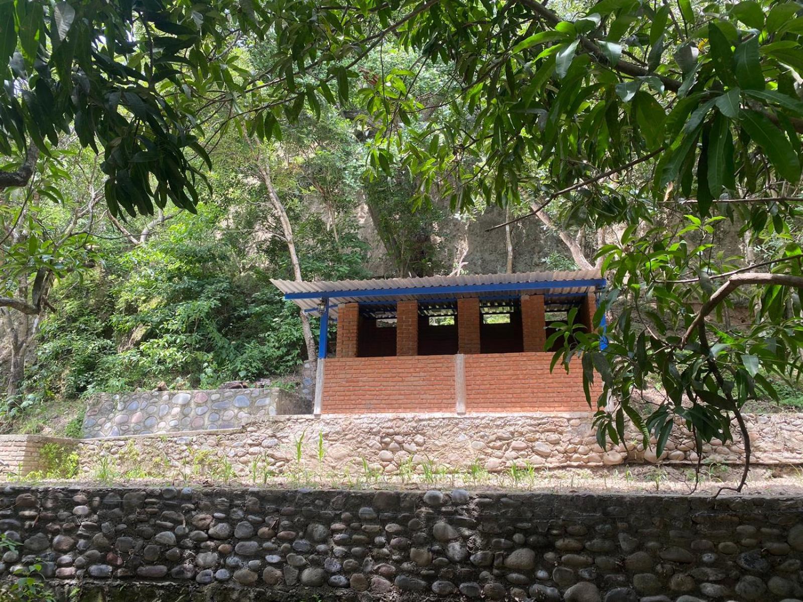 AVIVAMIENTO