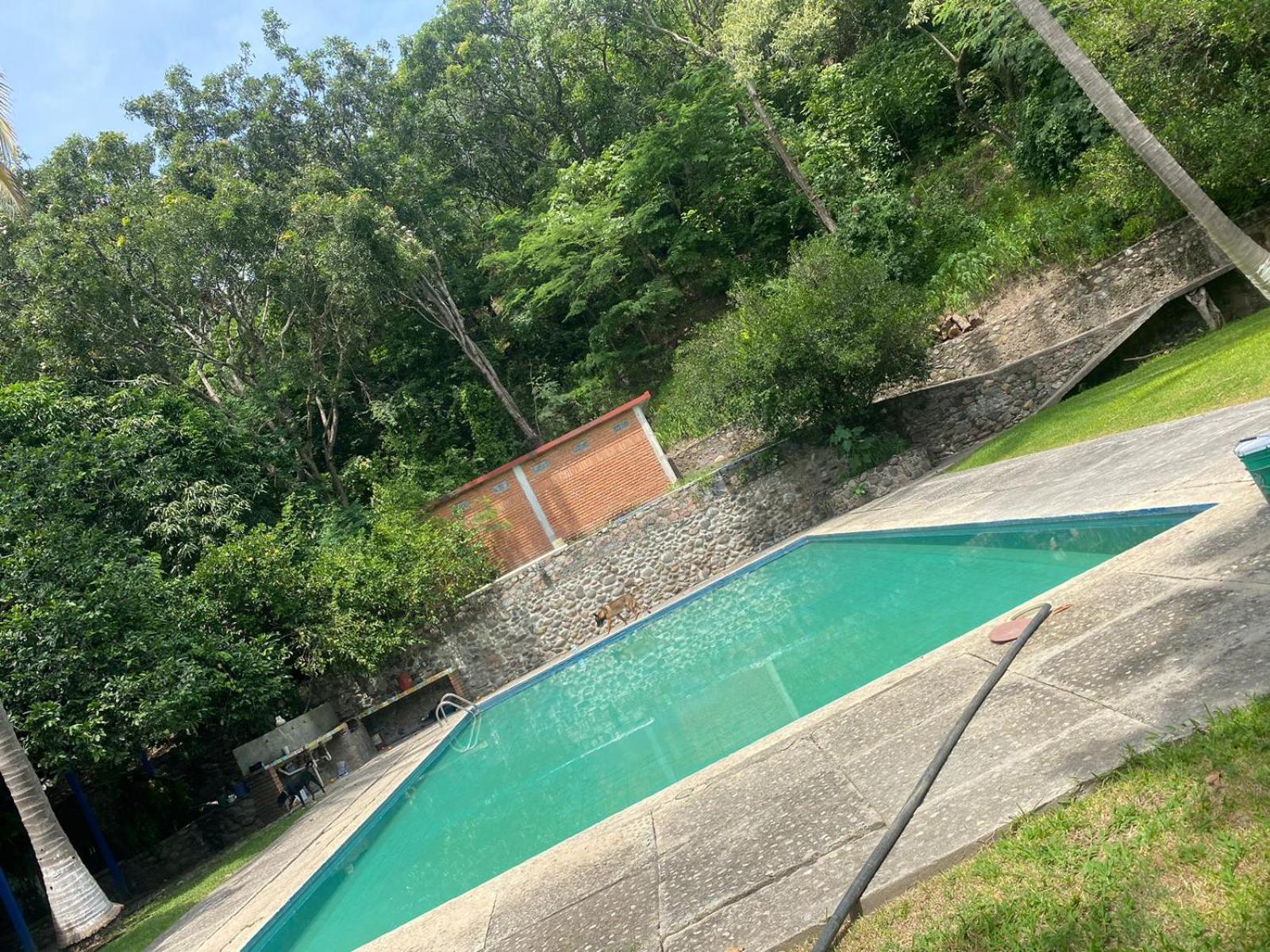 AVIVAMIENTO