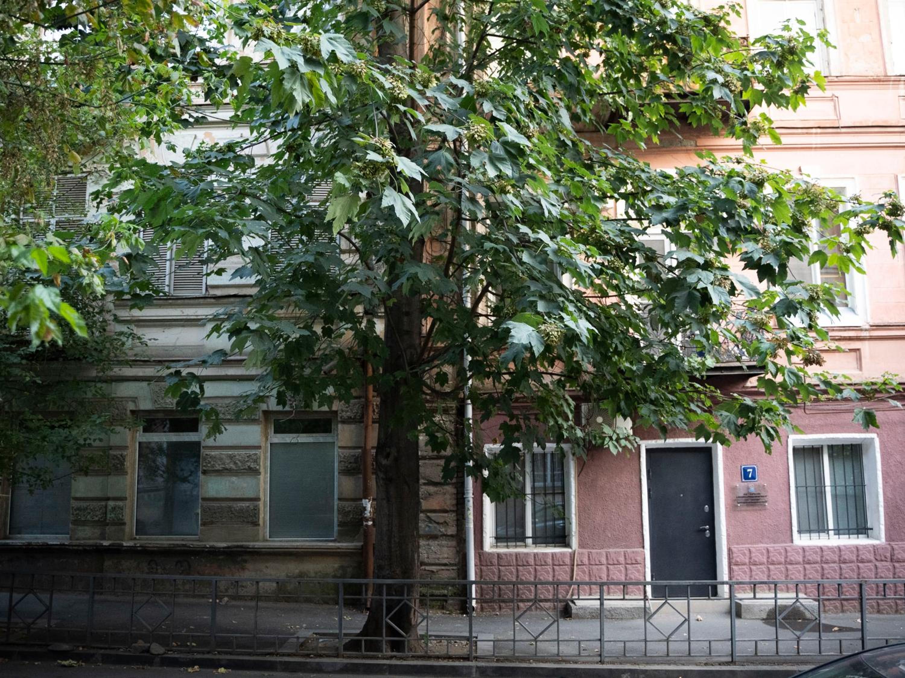 Cozy Studio In The Historical Center Of Tbilisi view 5