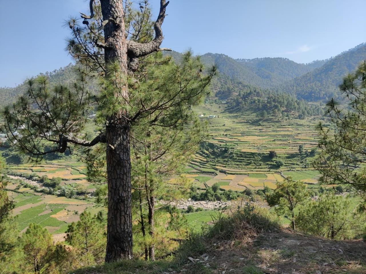 Takeabreak