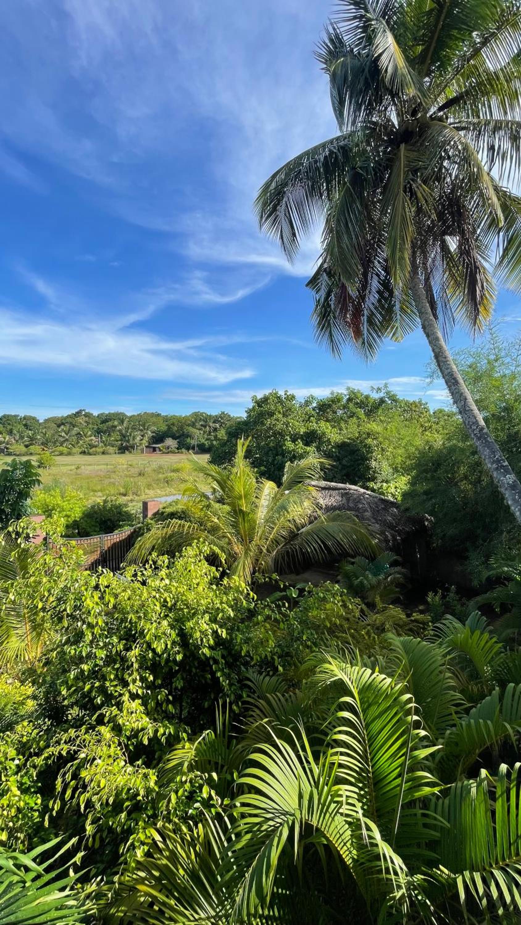 The lookout lodge view 3