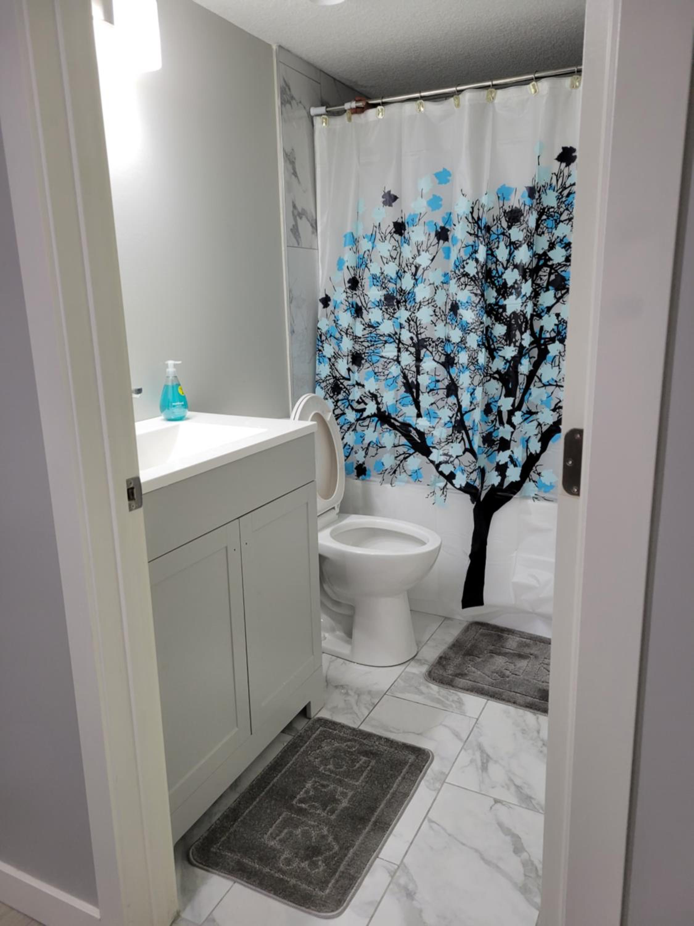 Brand New 2 Bedroom Basement Suite with Wifi