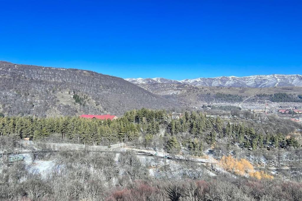 Scenic Studio, Turbo 100Mbps Wi-Fi, Tsaghkadzor