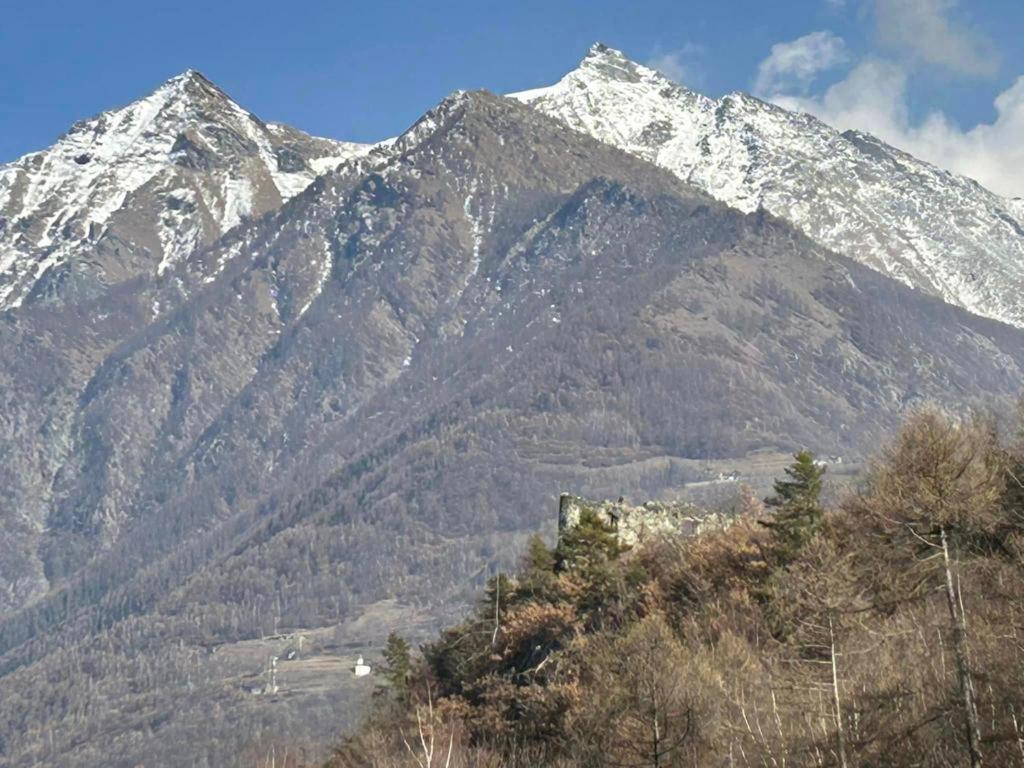 Photo 28