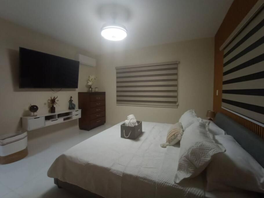 Estrella de luz penthouse a estrenar