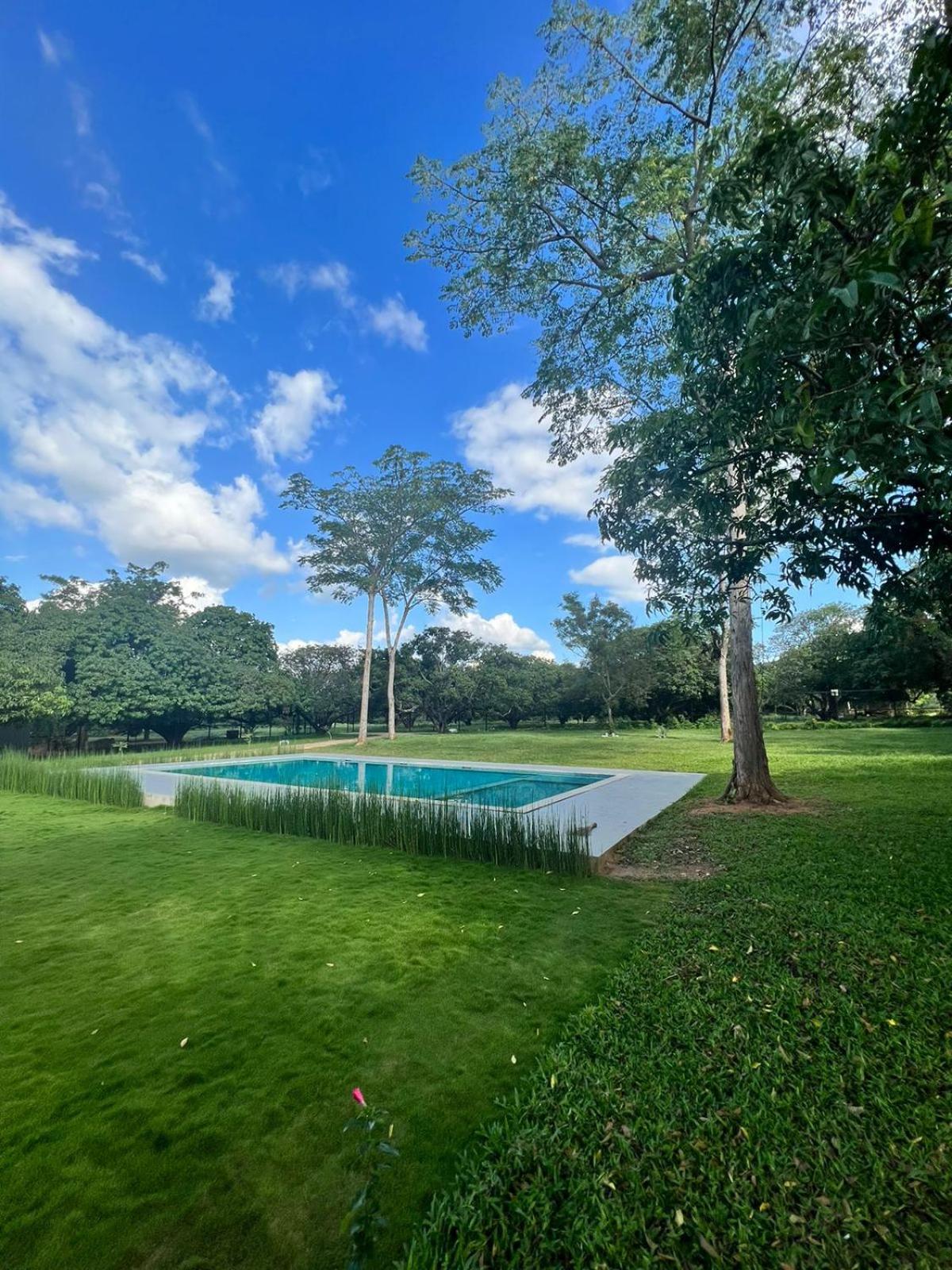 maamara farmstay