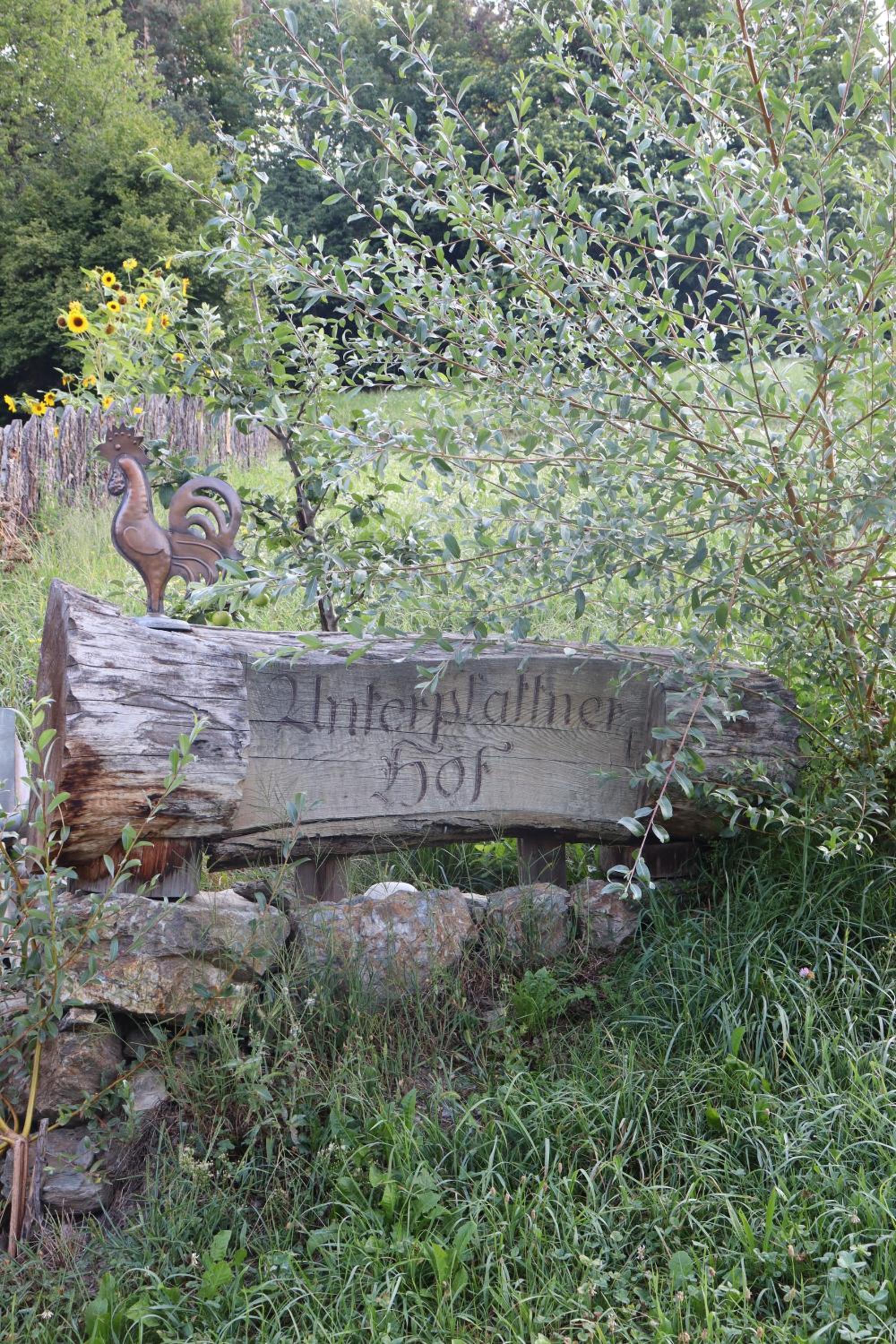 Unterplattnerhof