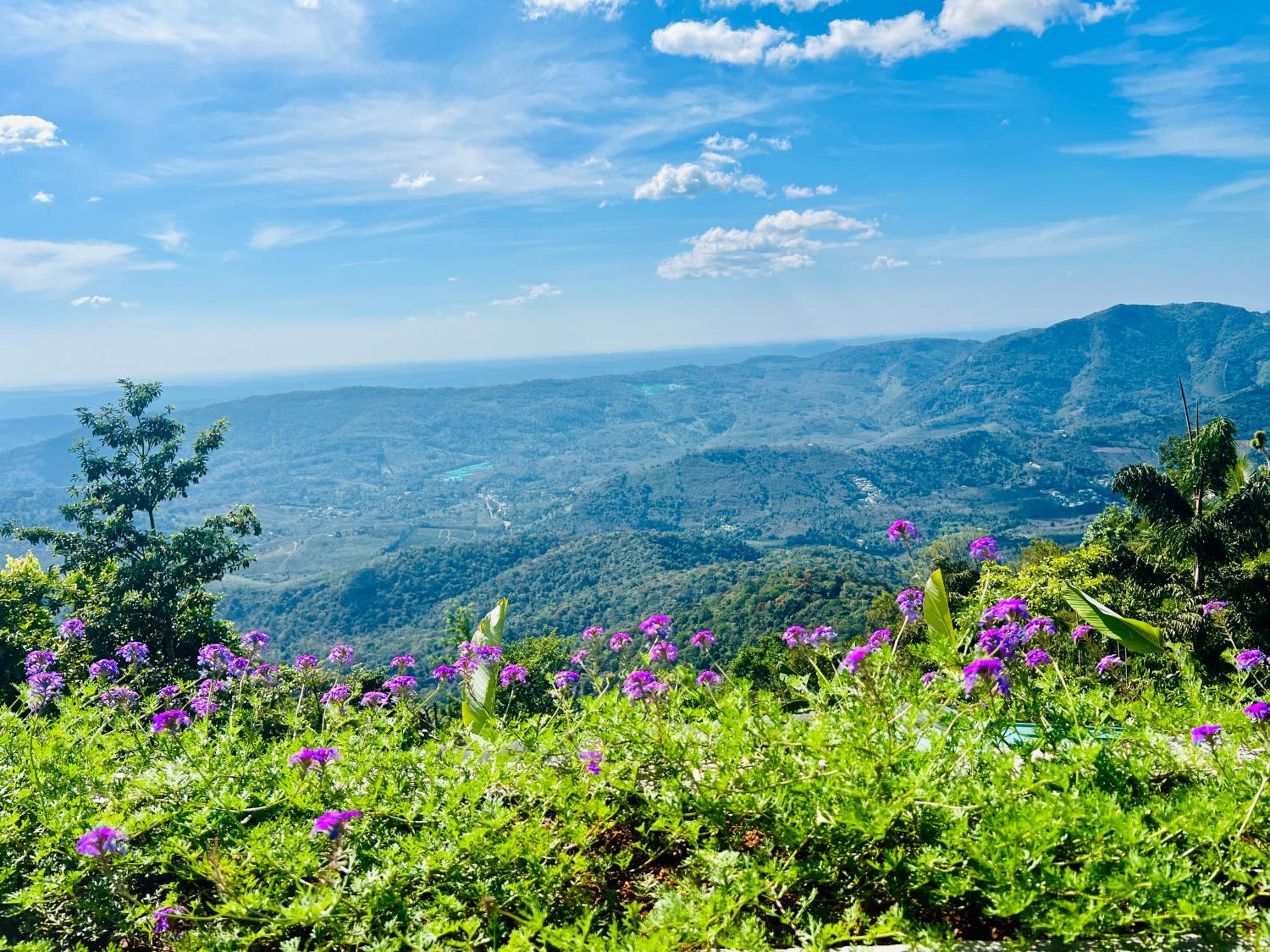 Nature Sanctuary Urumbi Hills
