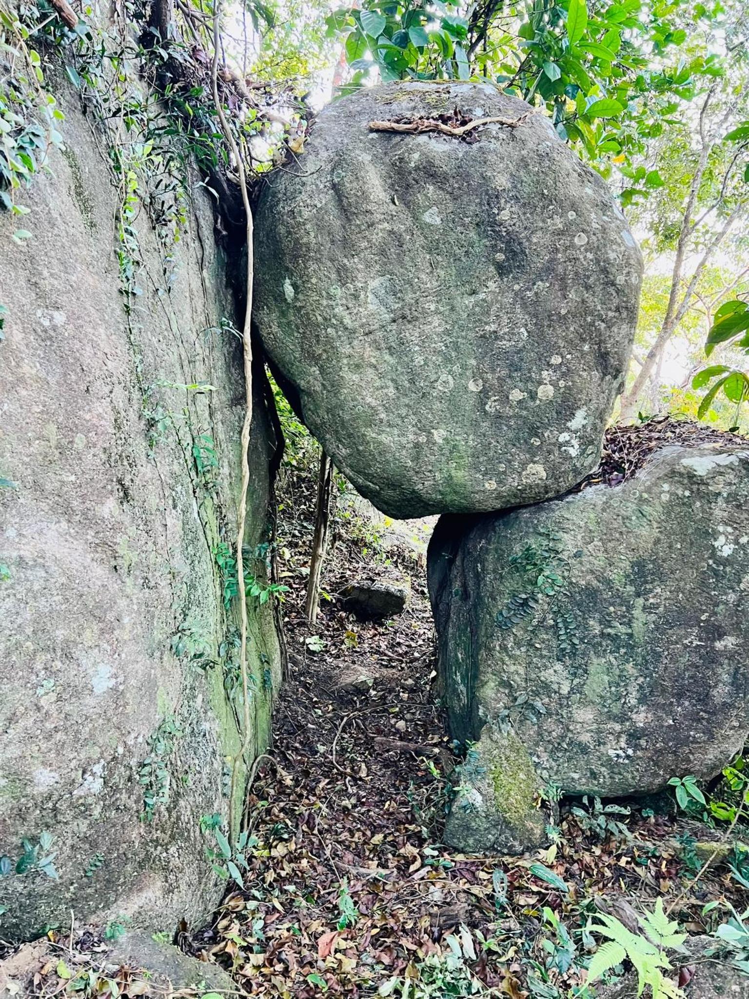 Nature Sanctuary Urumbi Hills