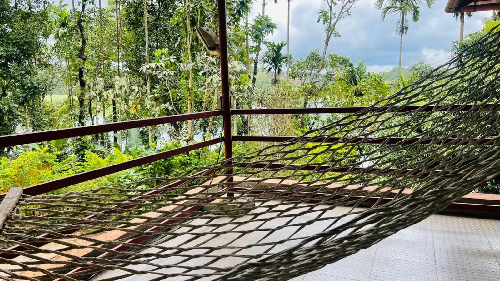 Lake View Cottage- a hidden gem , Wayanad