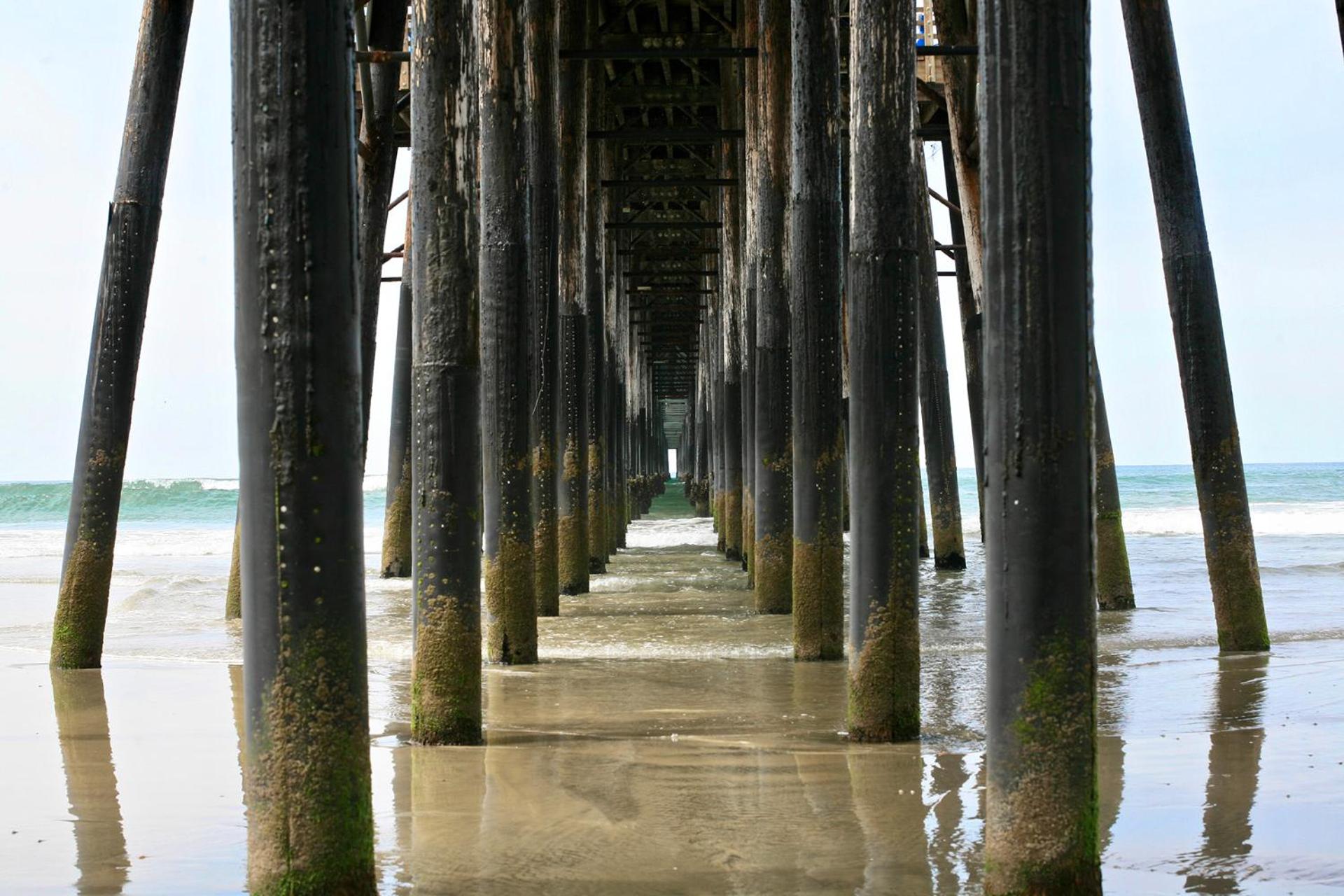 Photo 45