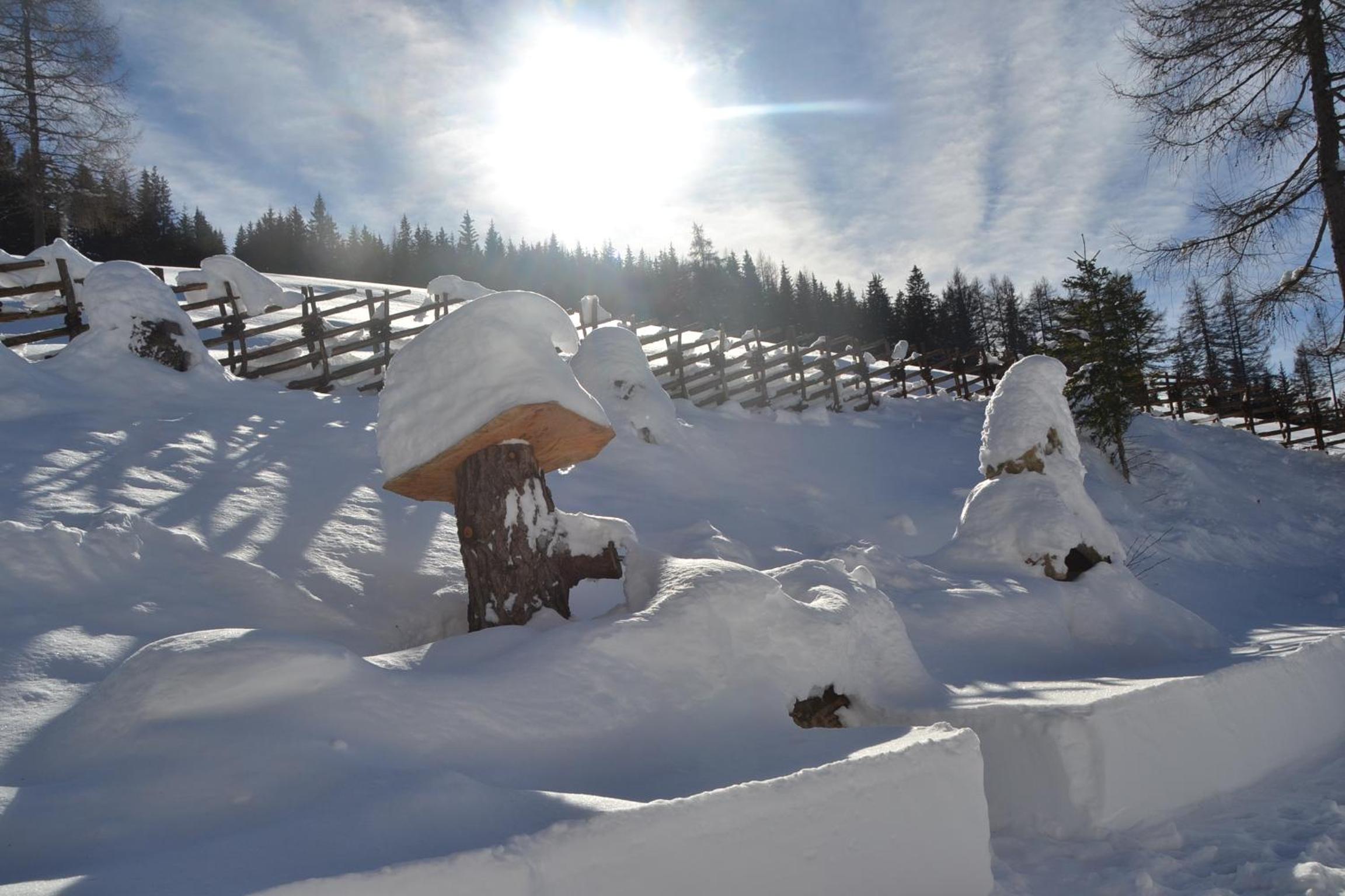 Webertonihütte