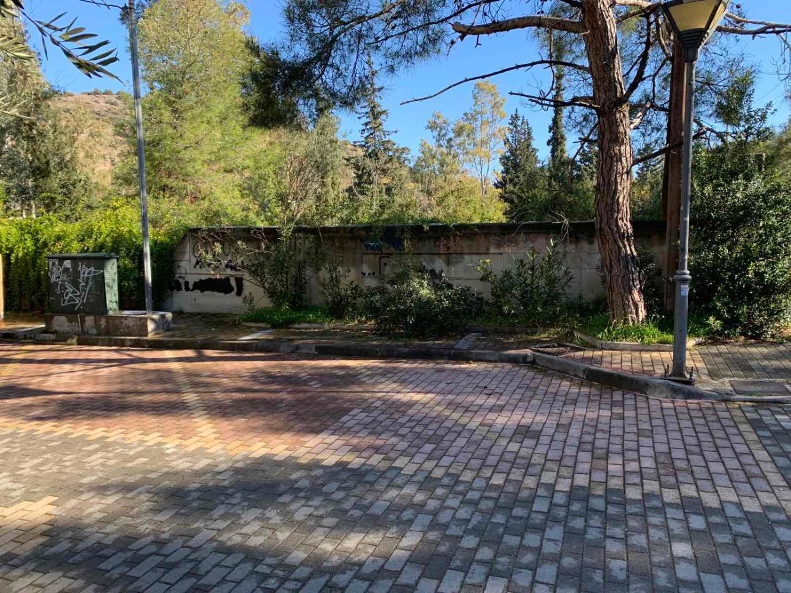 Lillian’s House