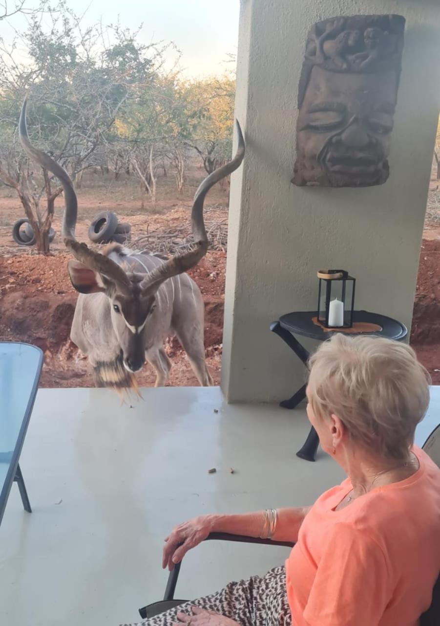 KrugerSafariEco Lodge