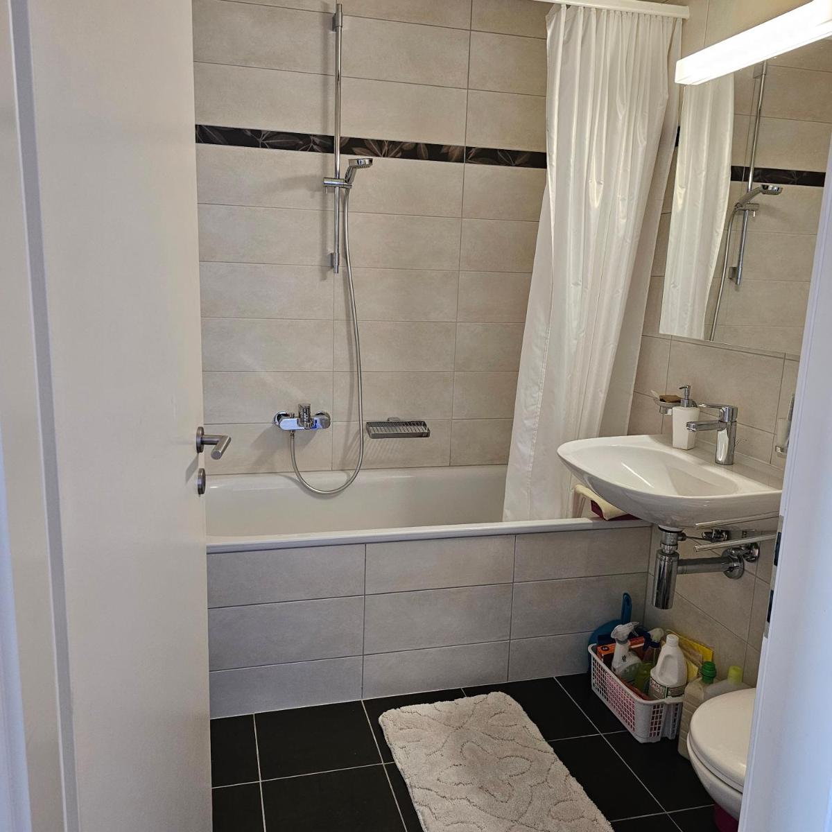 Appartement meublé à louer à Nax