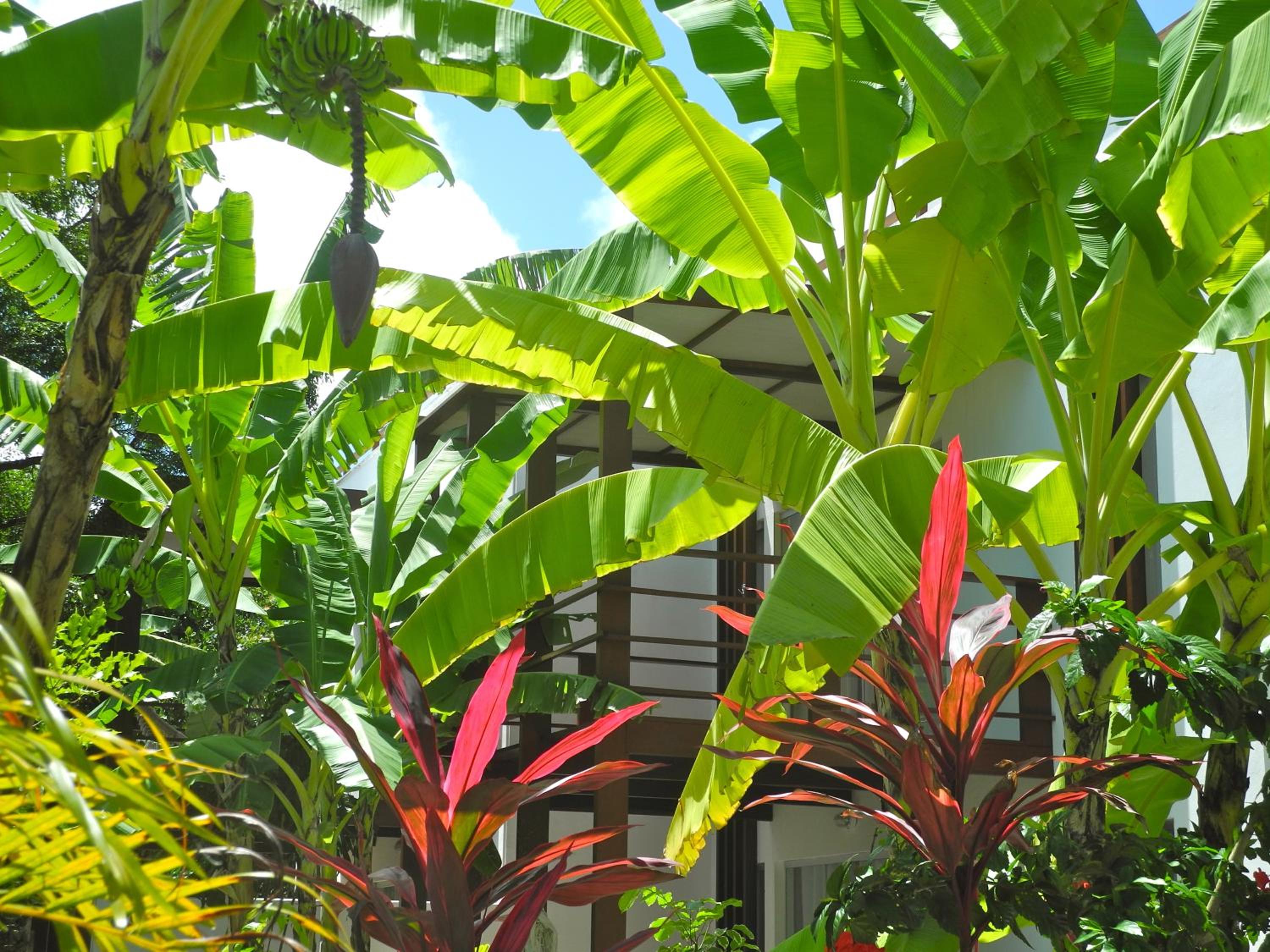 La Reserve Design Villa IDA