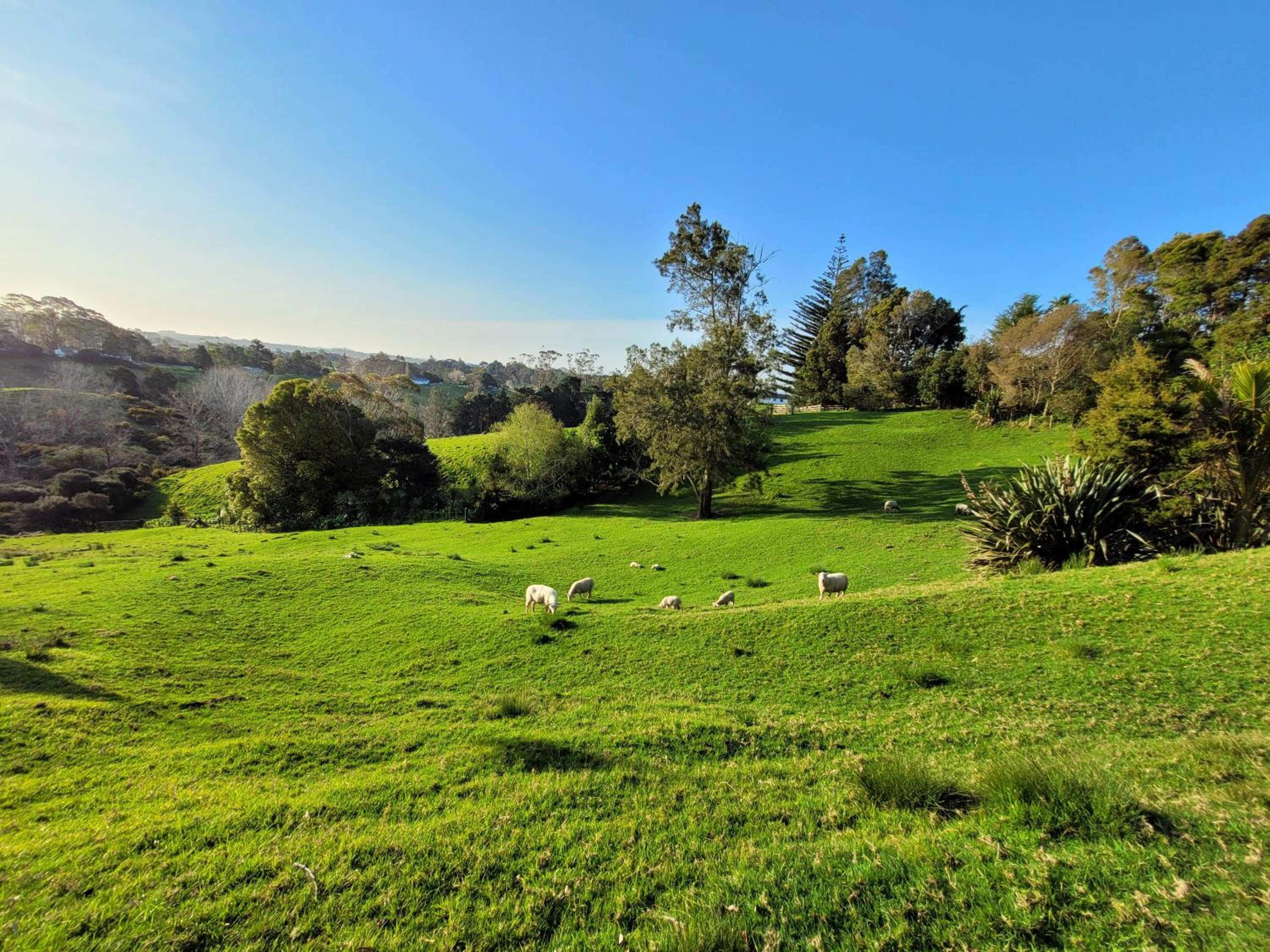 Sunshine Valley view 2