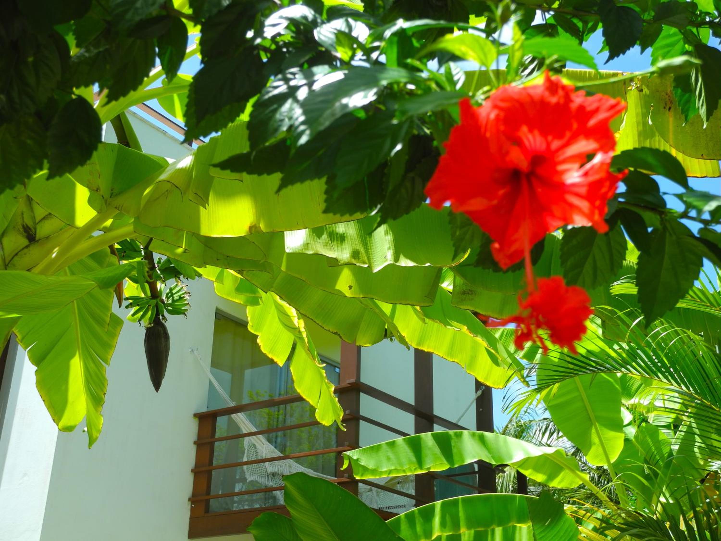 La Reserve Design Villa IDA