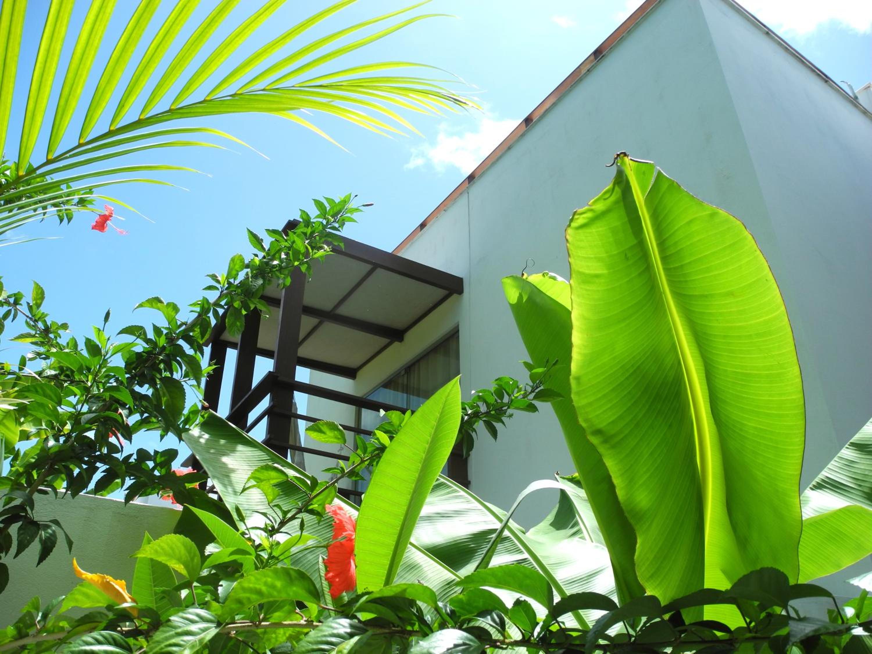 La Reserve Design Villa IDA