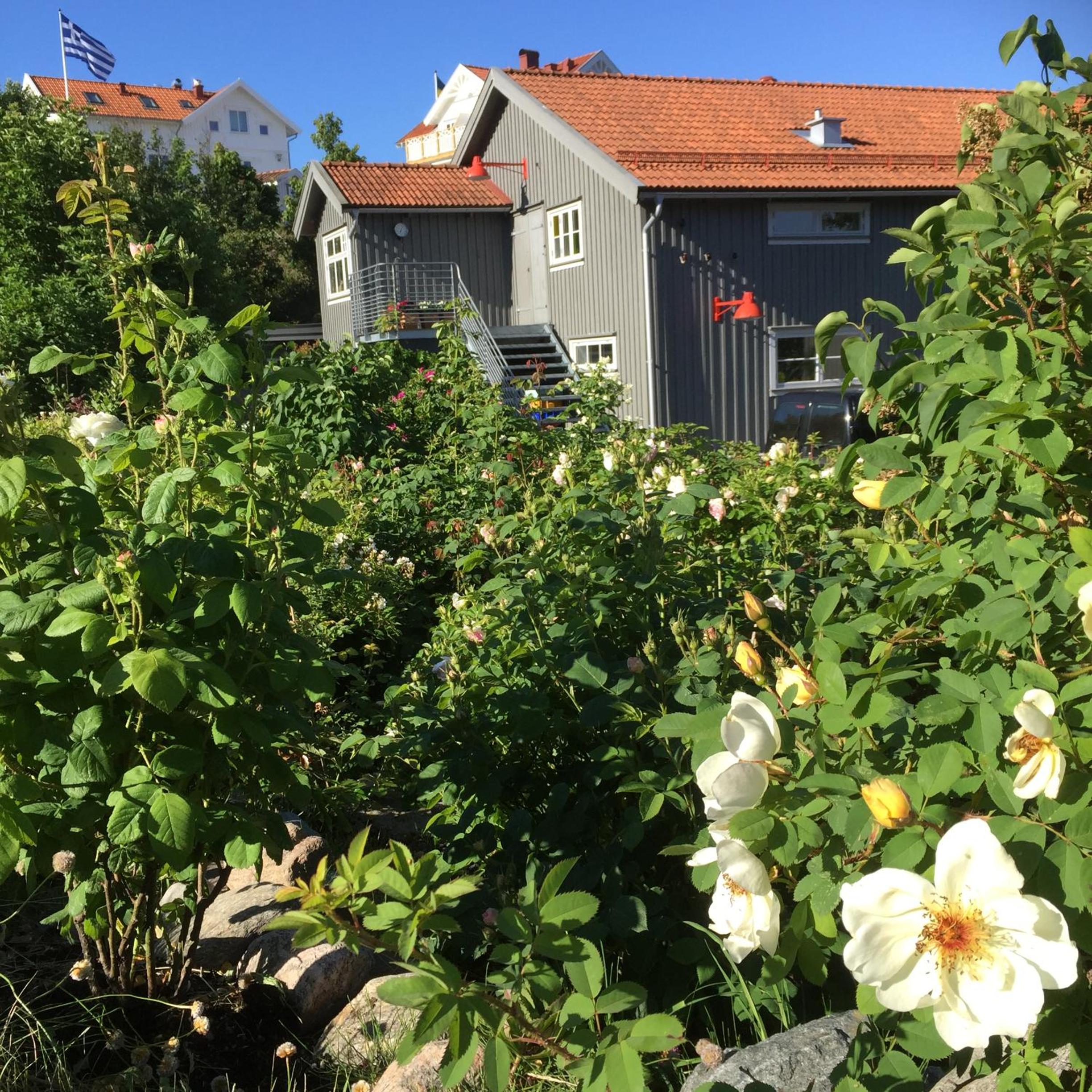 Lådfabriken