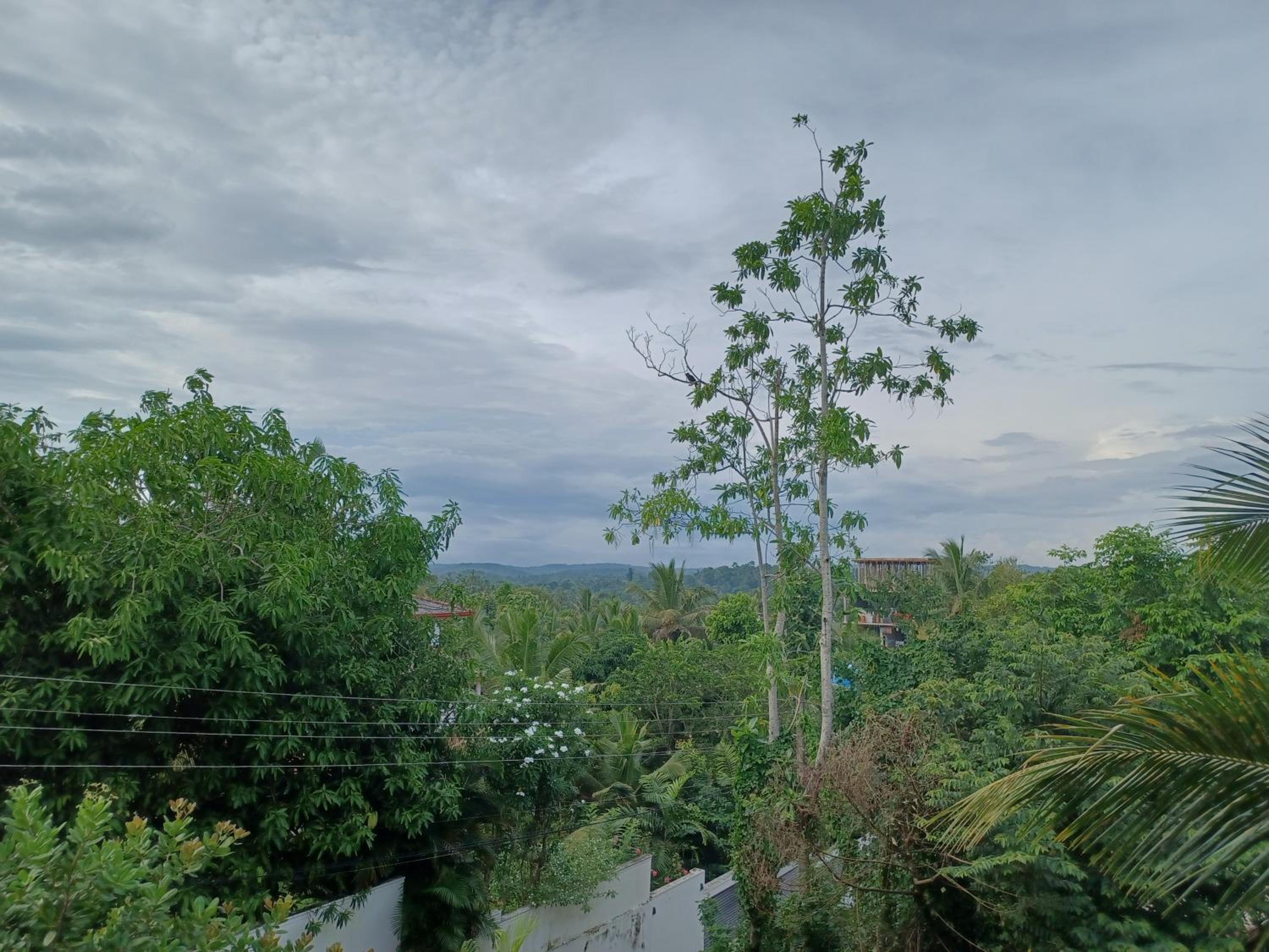 Sunhill Rest Hiriketiya view 4
