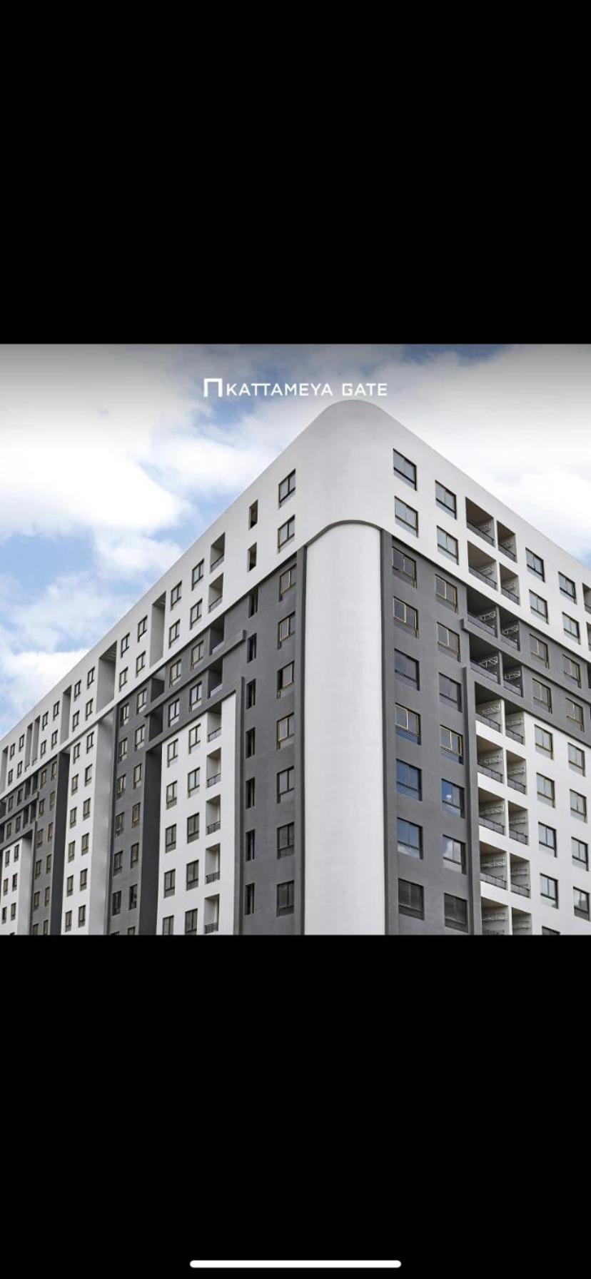 Studio Katamia gate ring road maadi