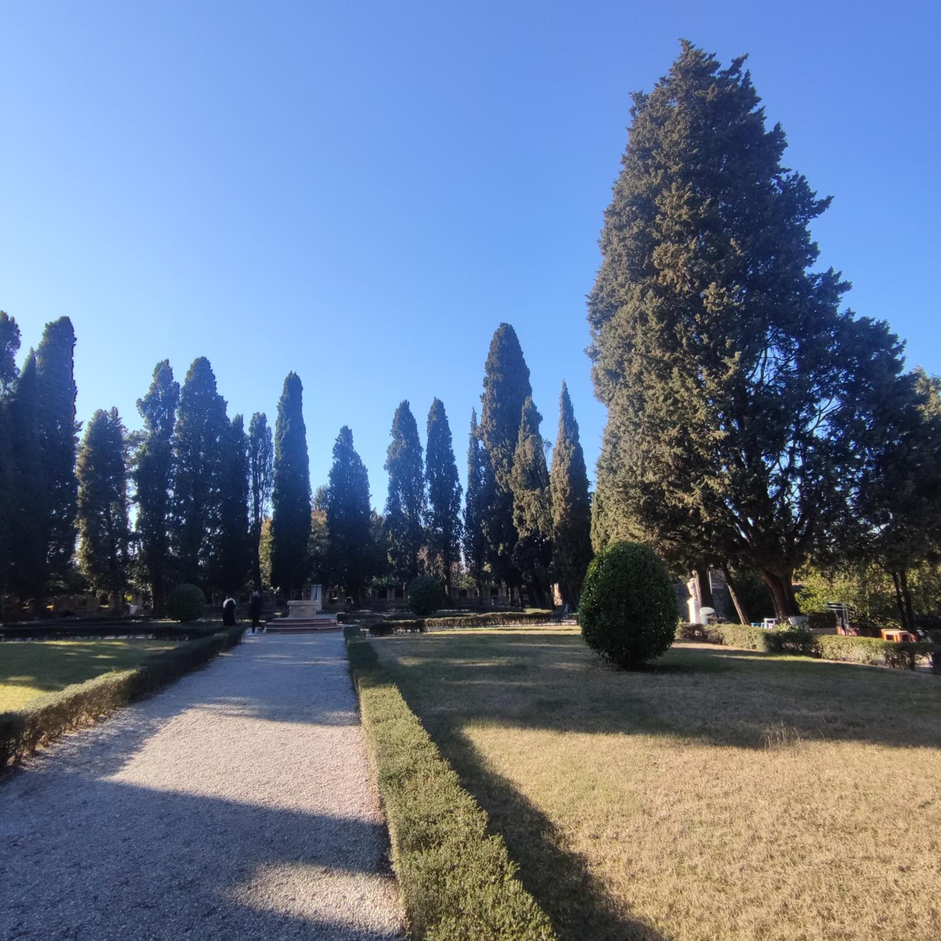 BBConegliano Borlini