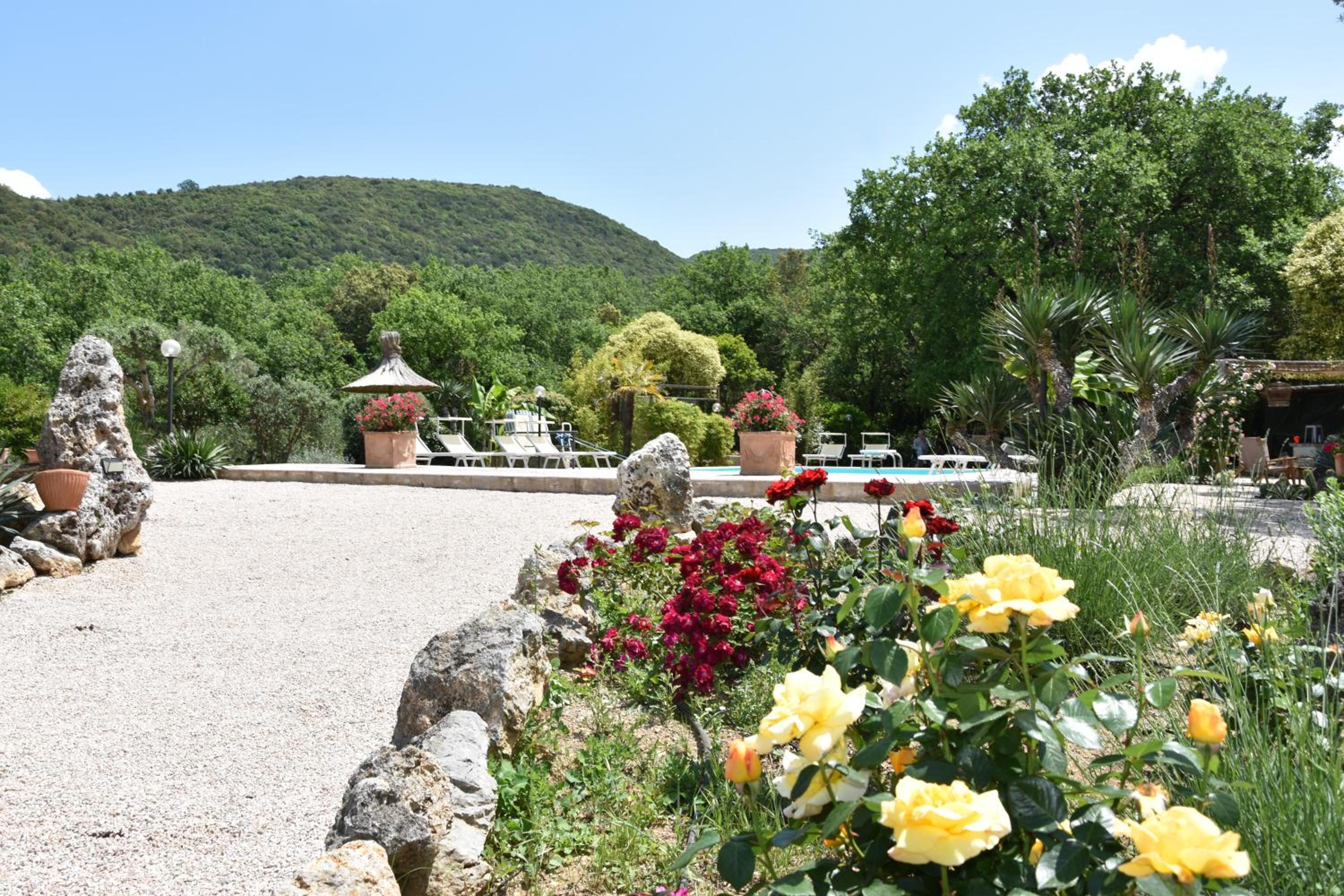 activities & amenities