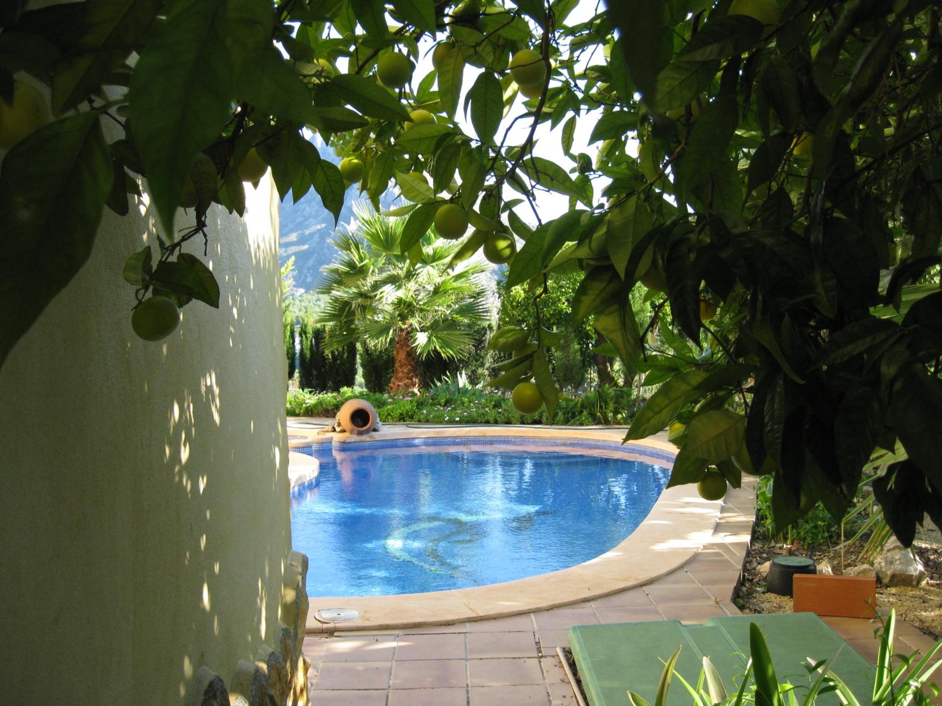 Photo 12