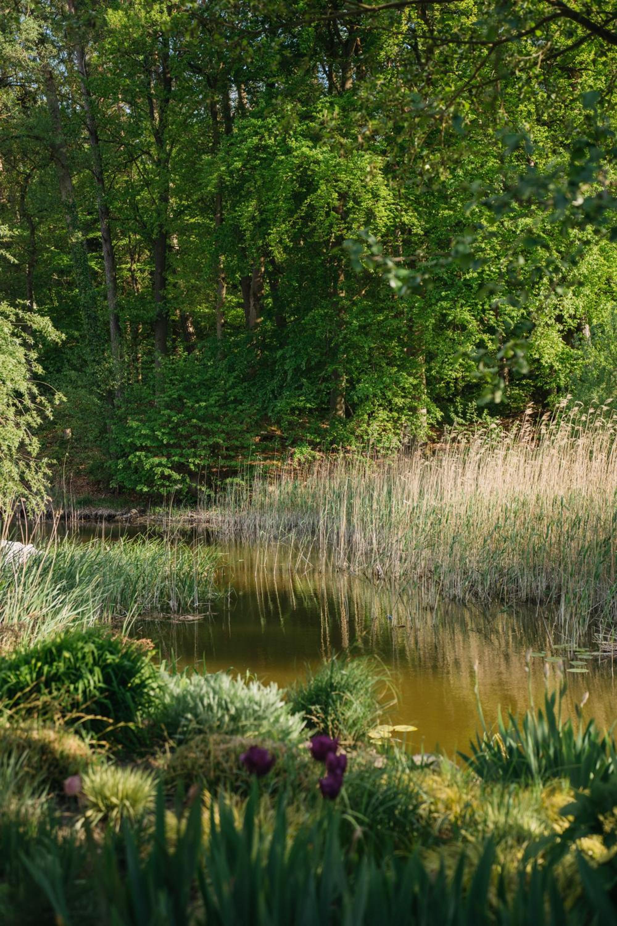 Mühle Tornow am Wentowsee