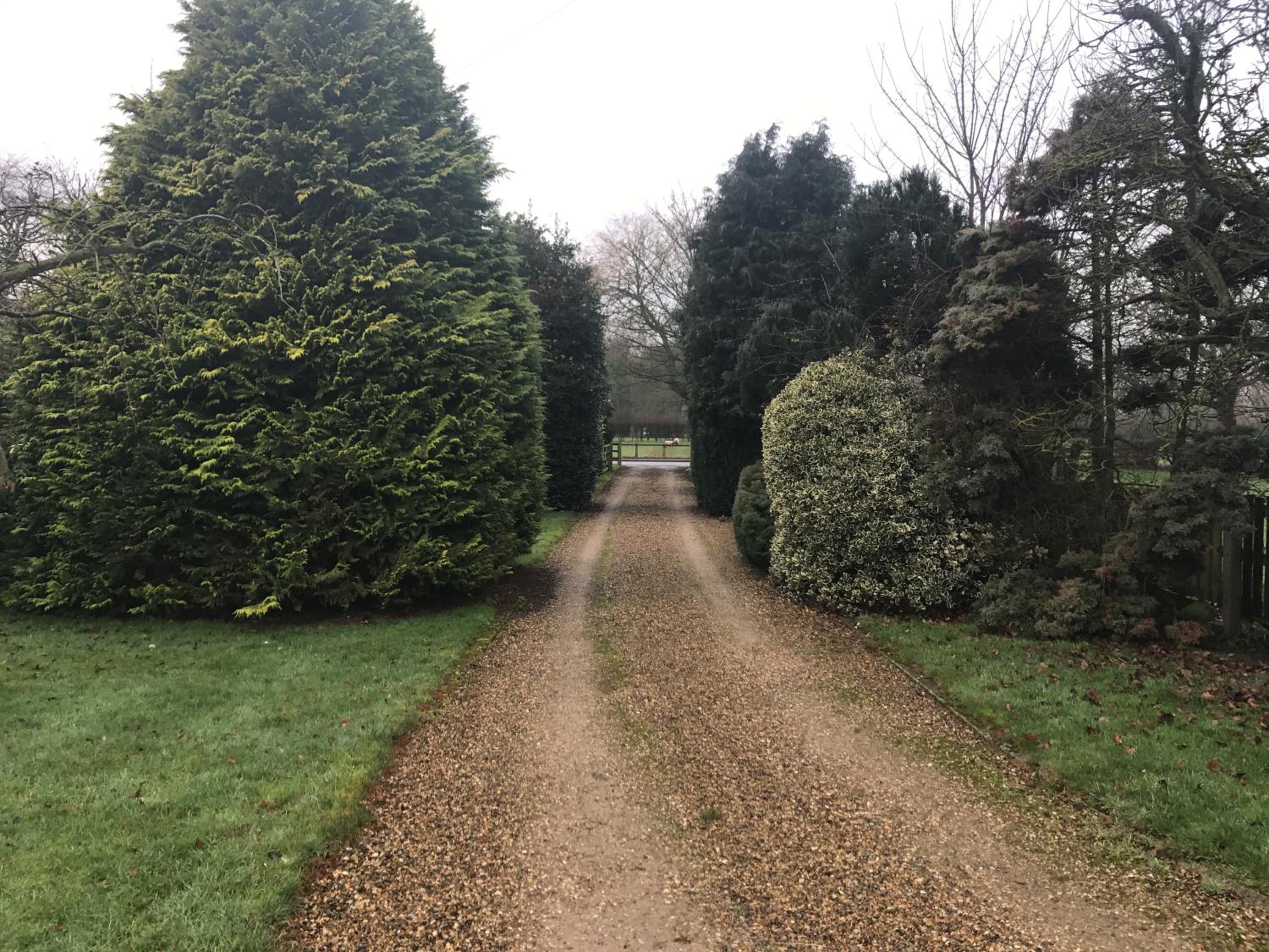 Highfield