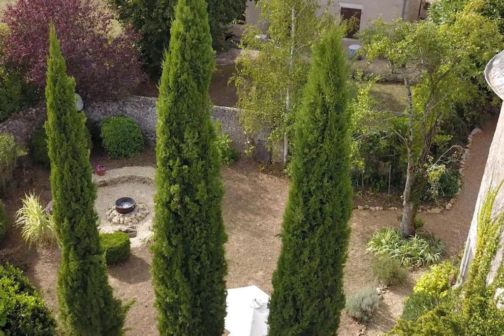 Photo 23