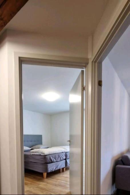 Central Copenhagen Apartment