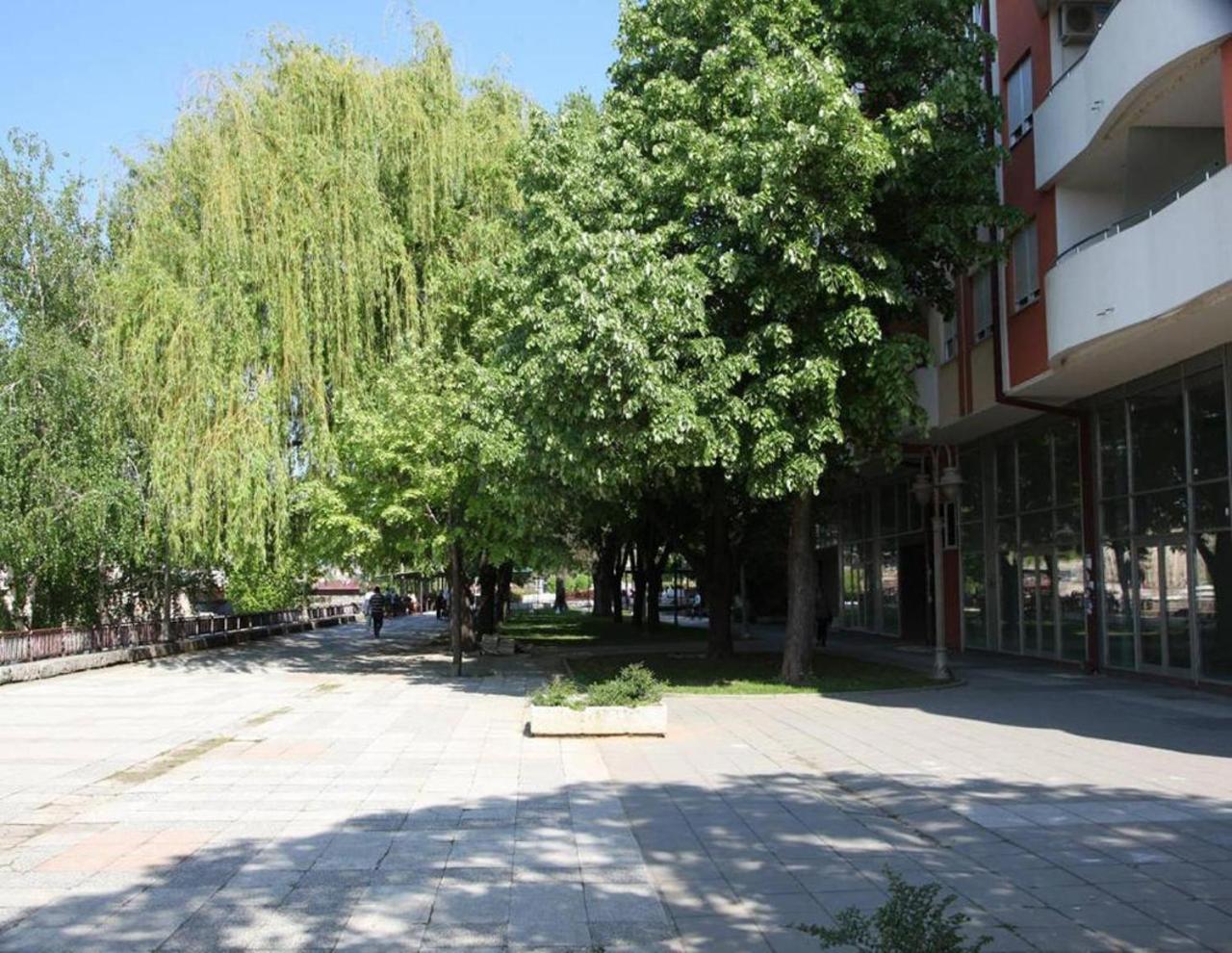 Photo 54