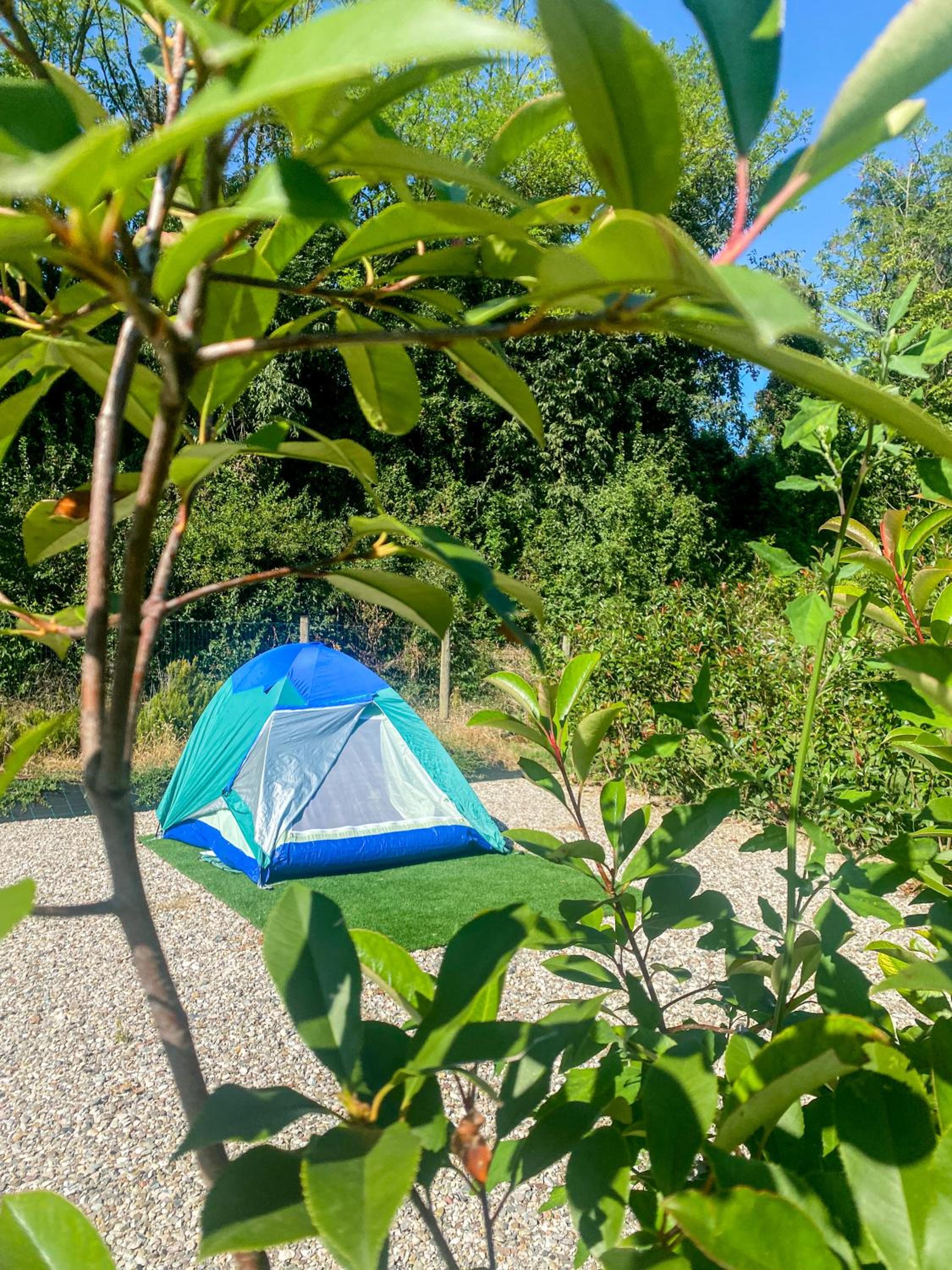 other