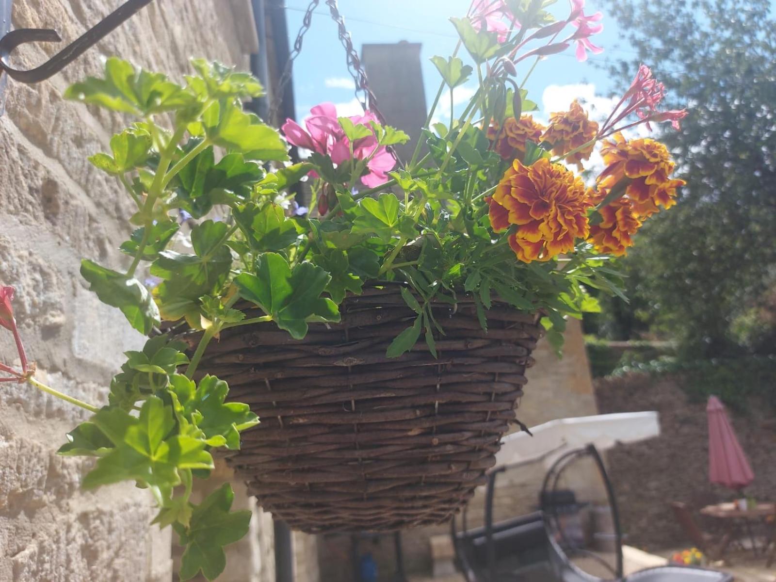 Photo 59