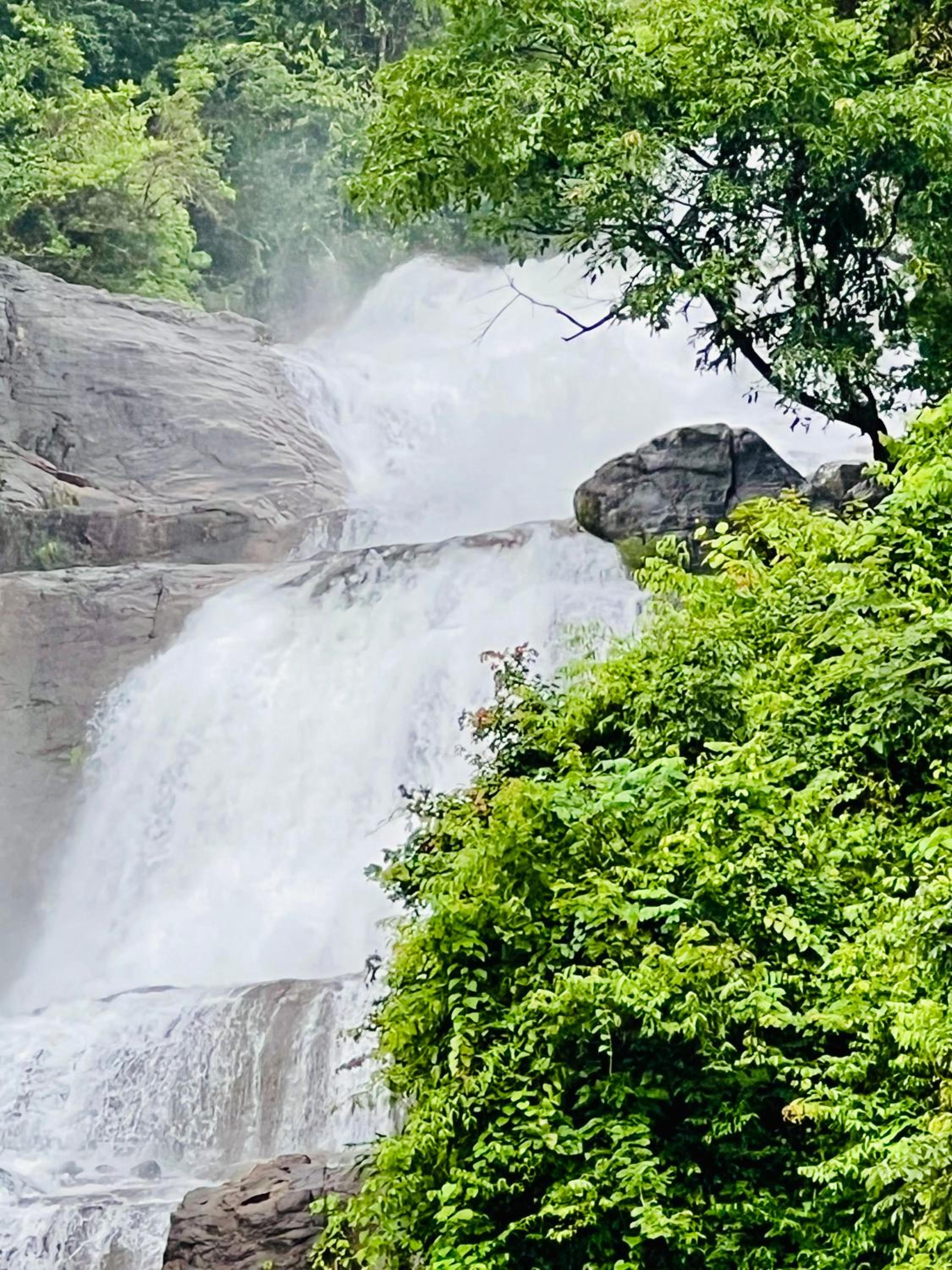 Nature Sanctuary Urumbi Hills