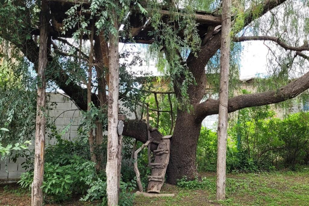 Casa del Río, privacidad, monte y paz