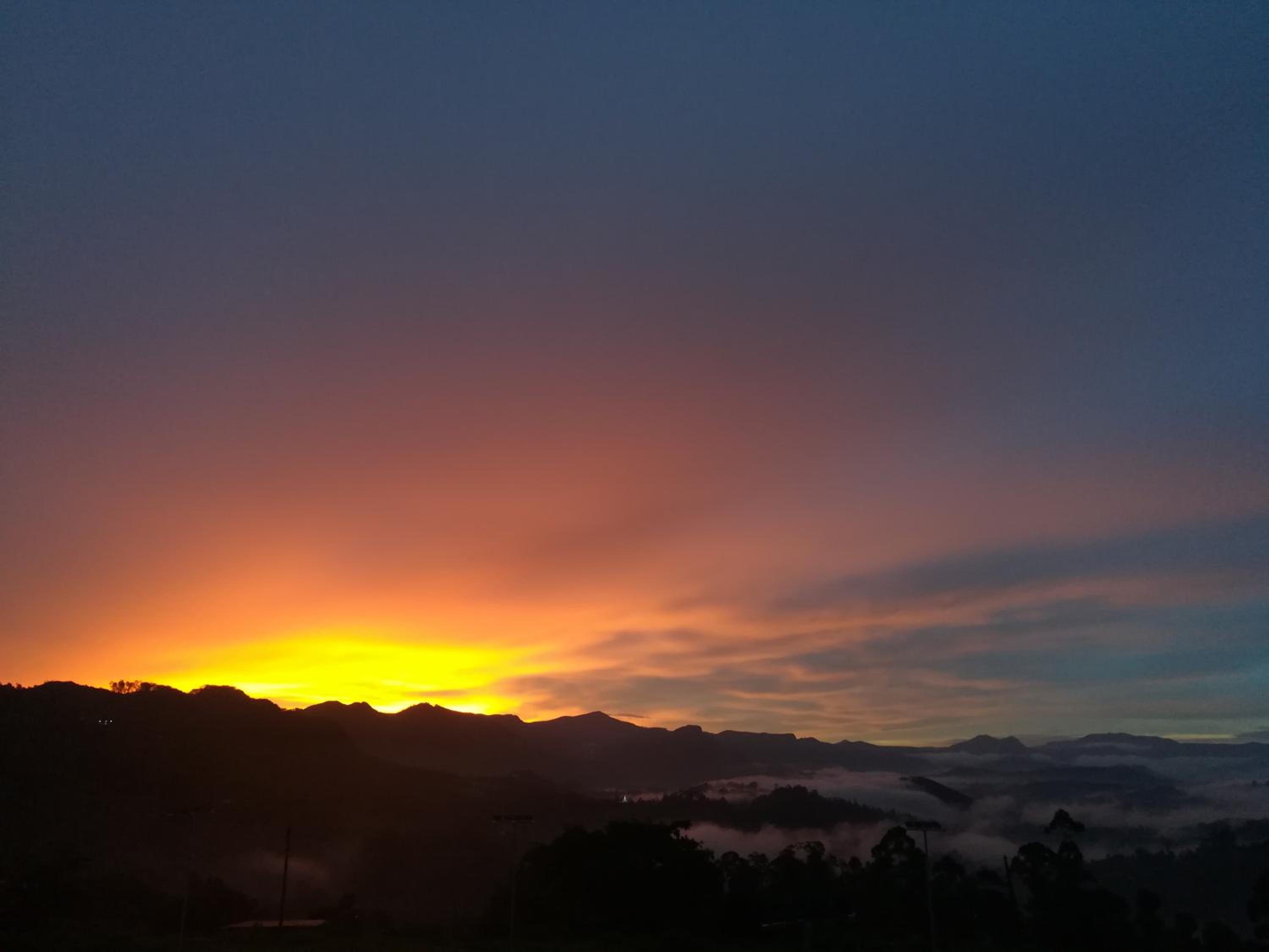 Dinu Homestay view 3
