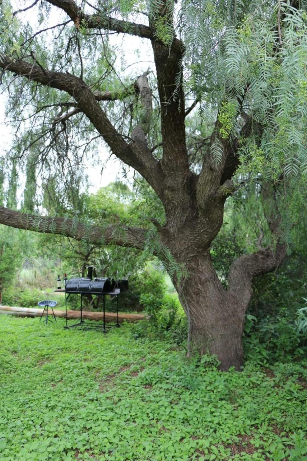 Casa del Río, privacidad, monte y paz