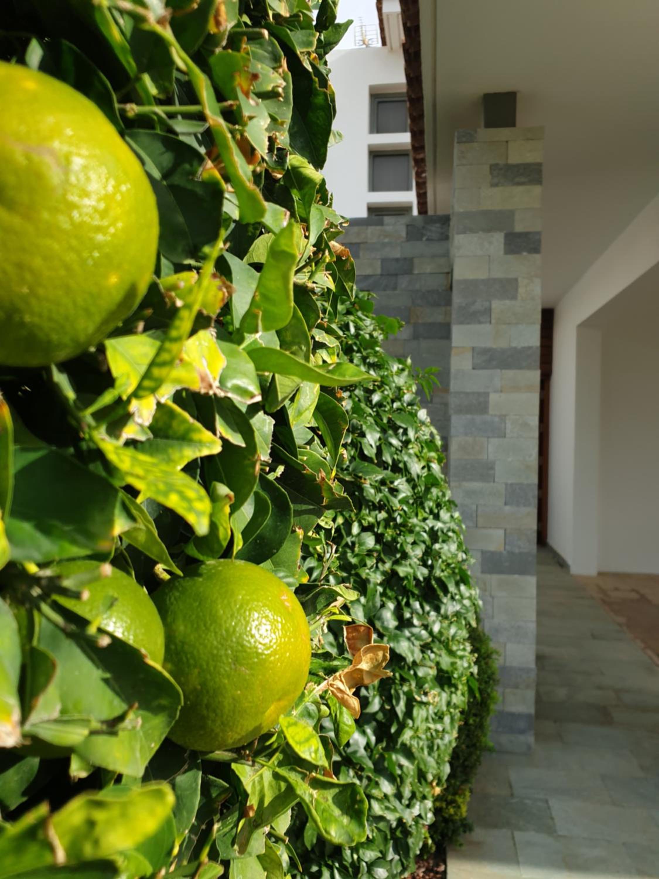 Luxury Beachfront Villa With Private Pool, Private Beach, Yoga & Sea Adventures