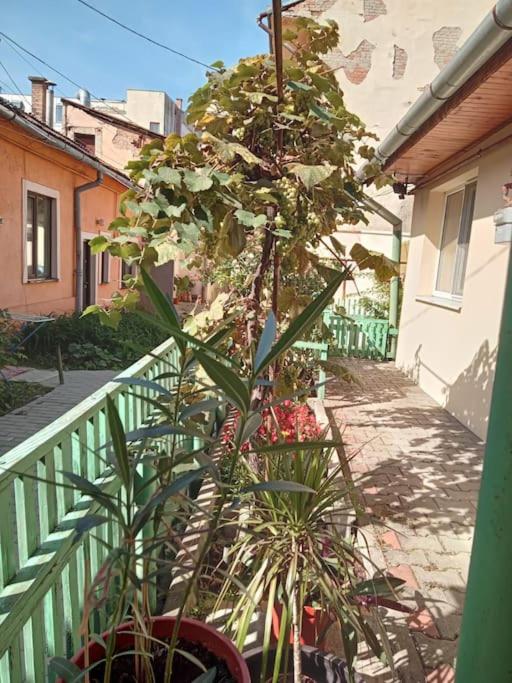 Emese Central Square Vintage Apartment