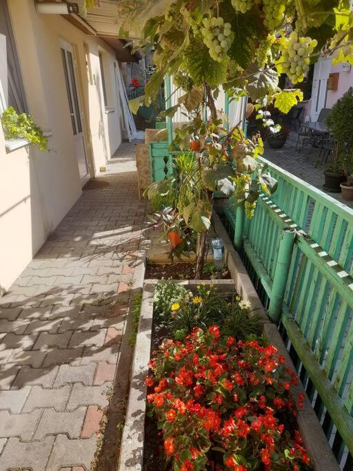 Emese Central Square Vintage Apartment