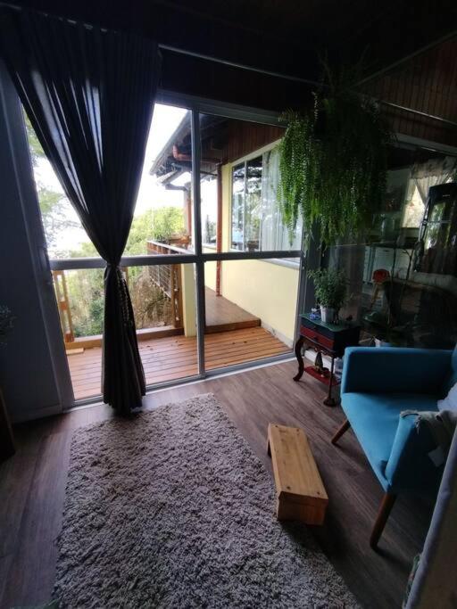 Casa Inteira em Jurerê In e vista panorâmica